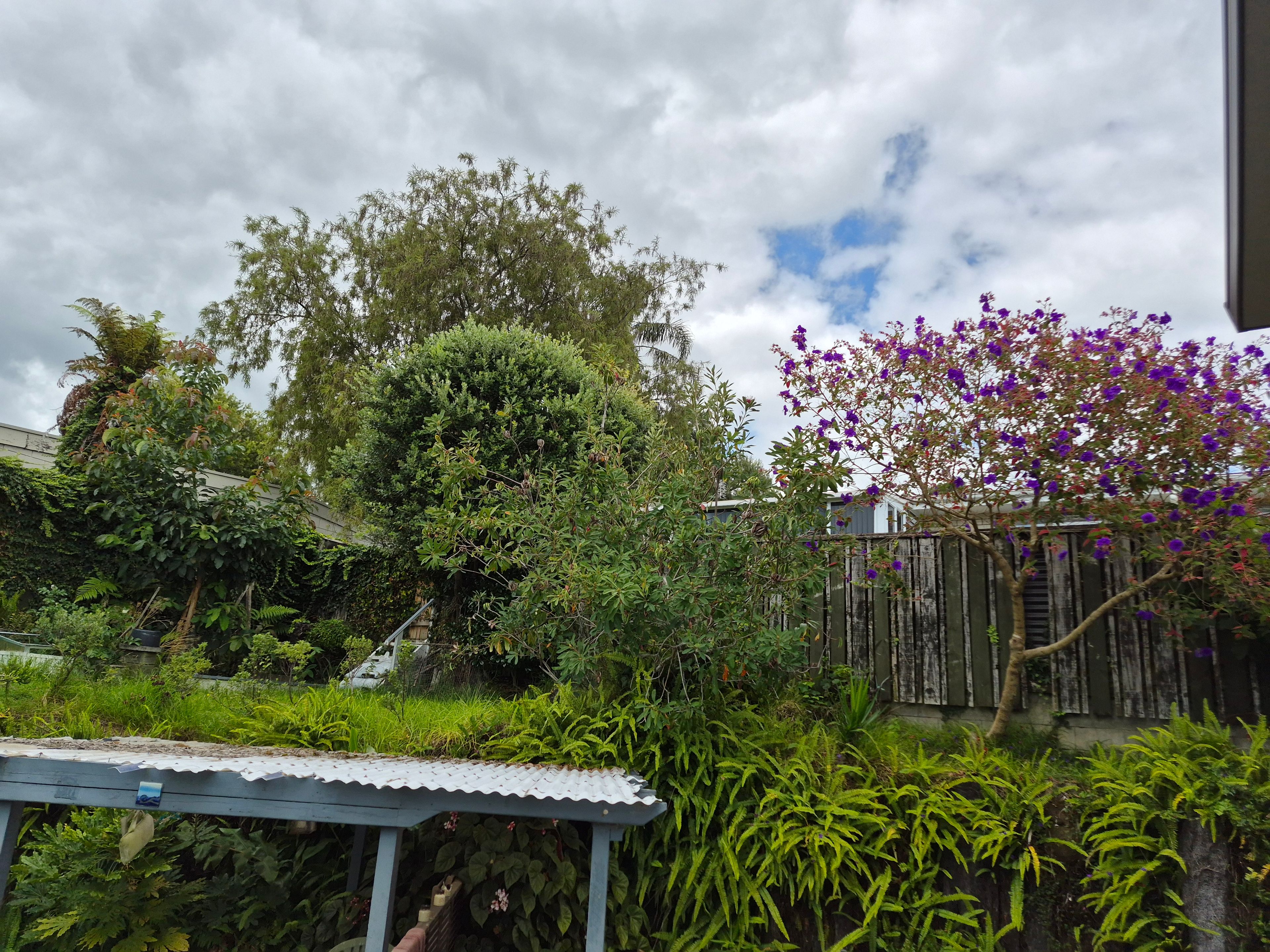 image-16