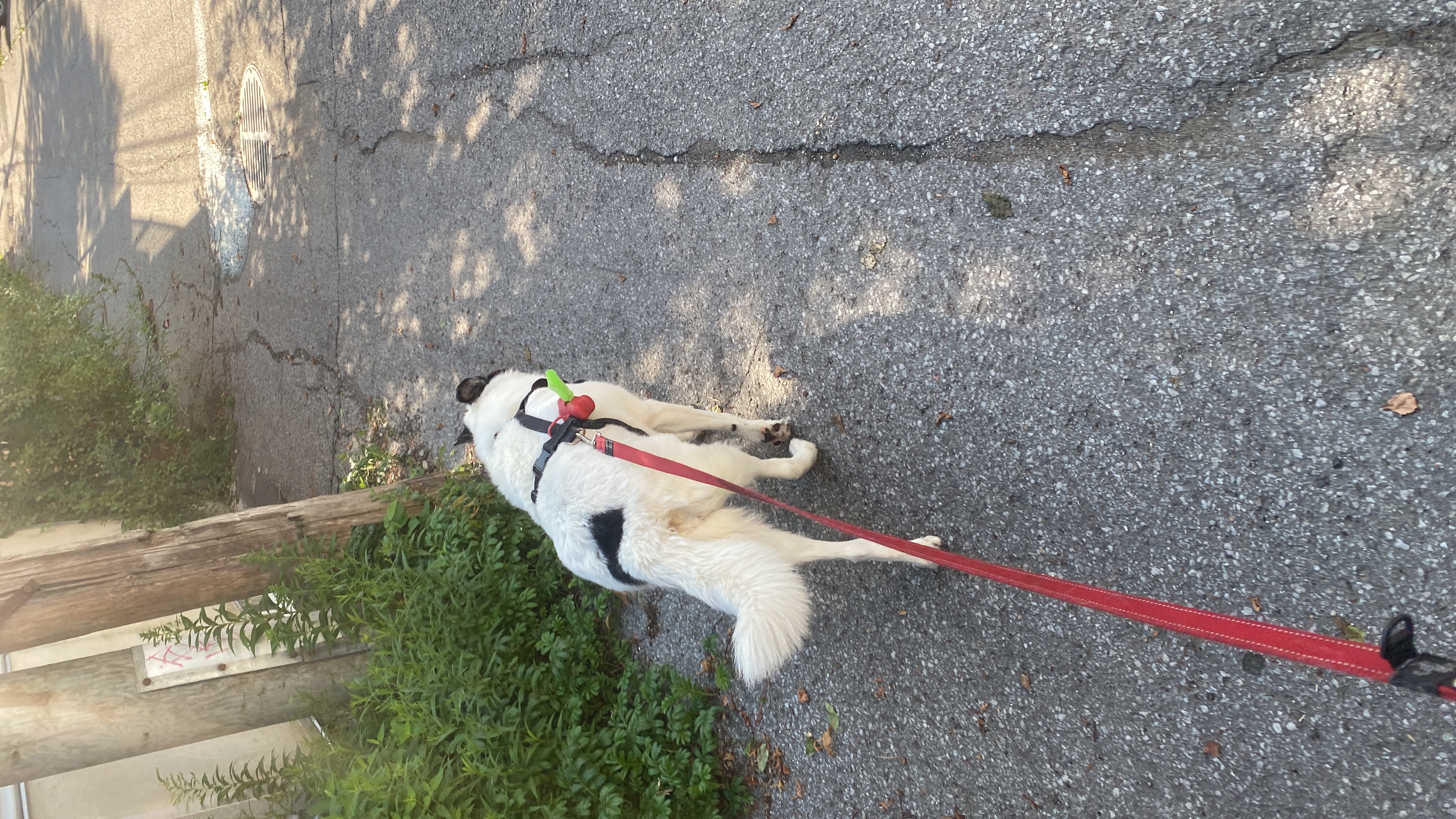 image-14