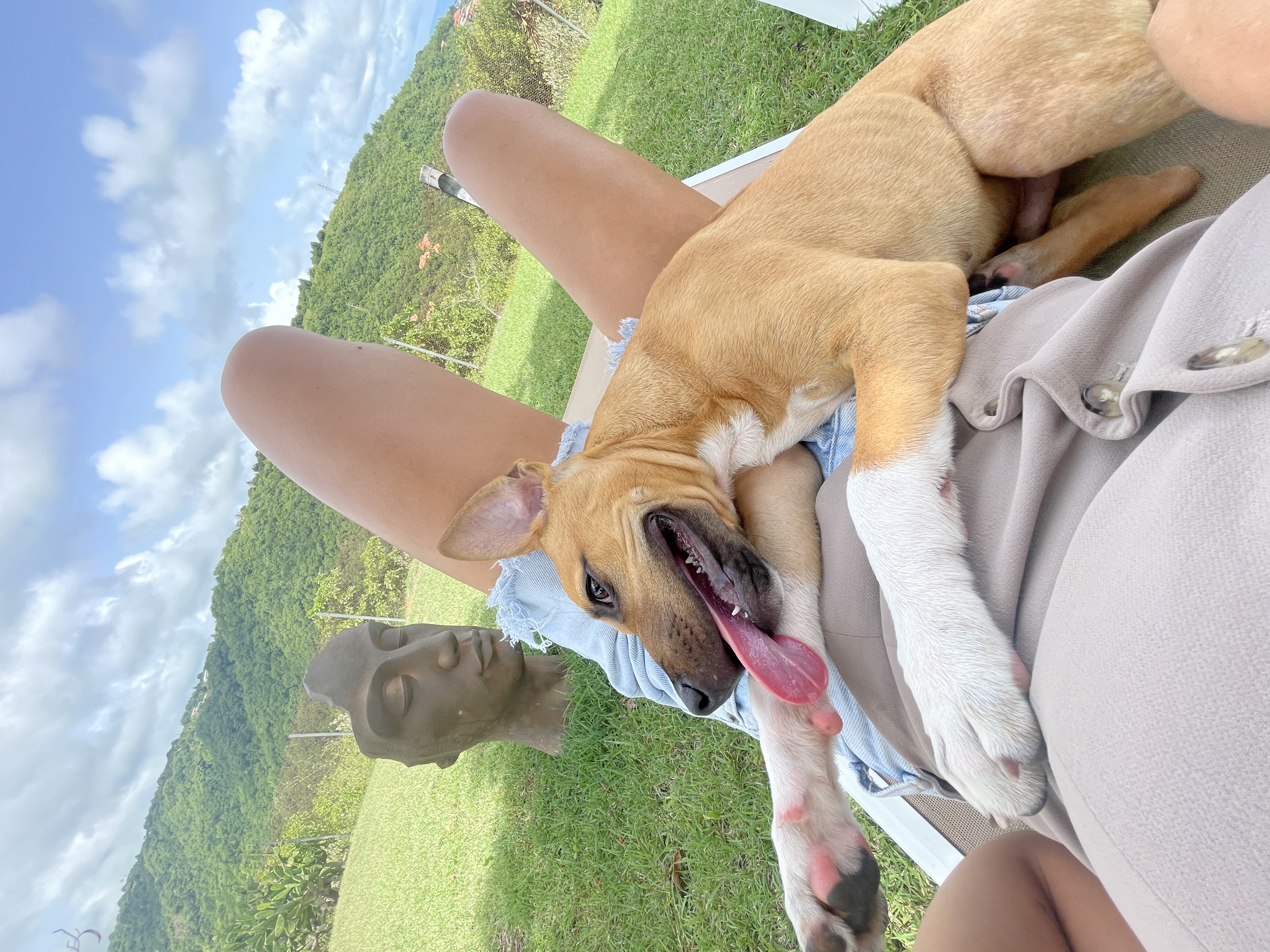 image-7