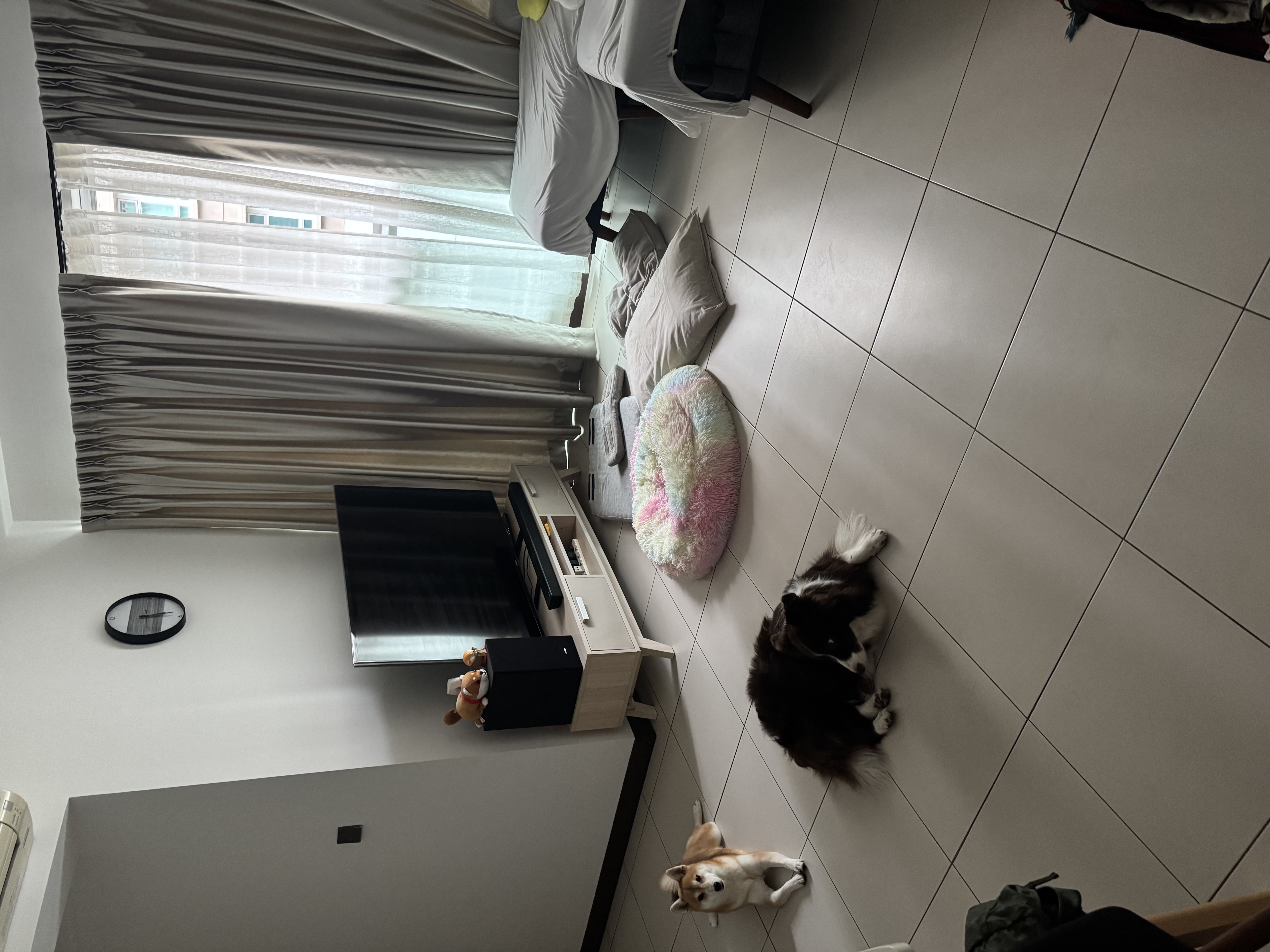 image-18