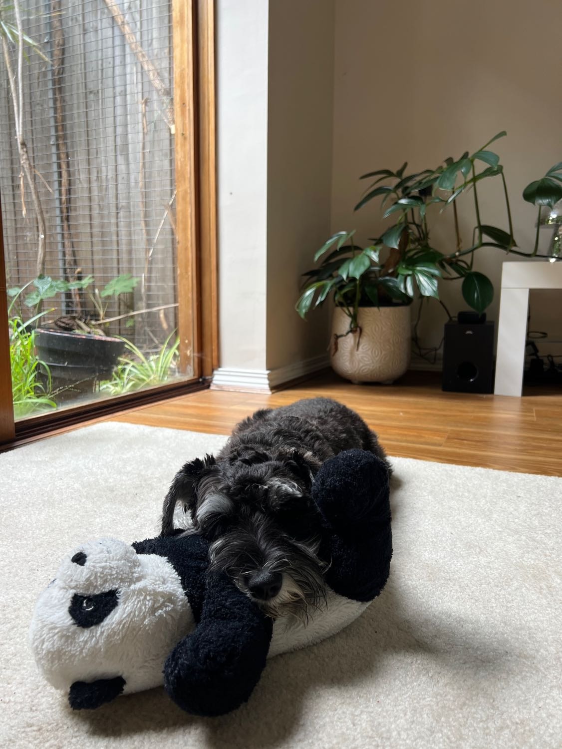 image-13