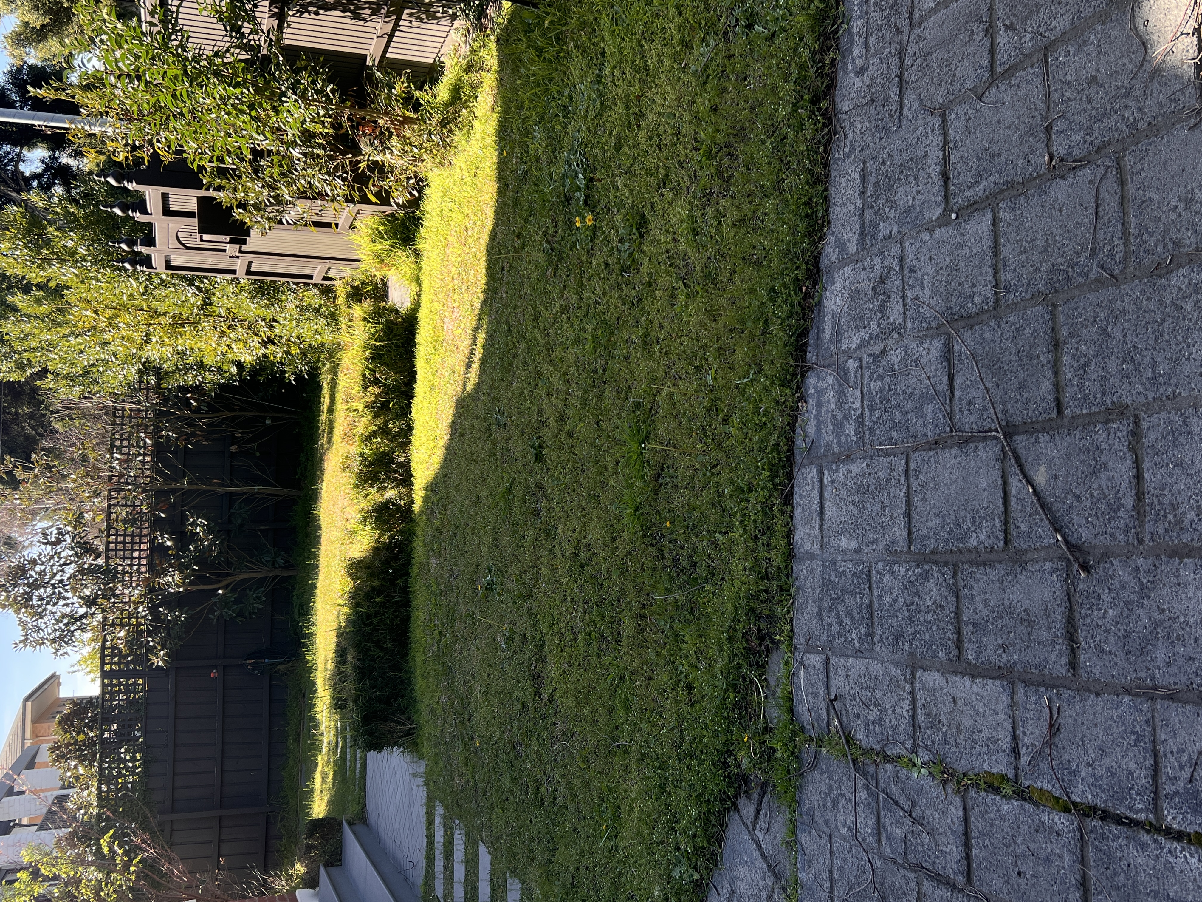 image-17