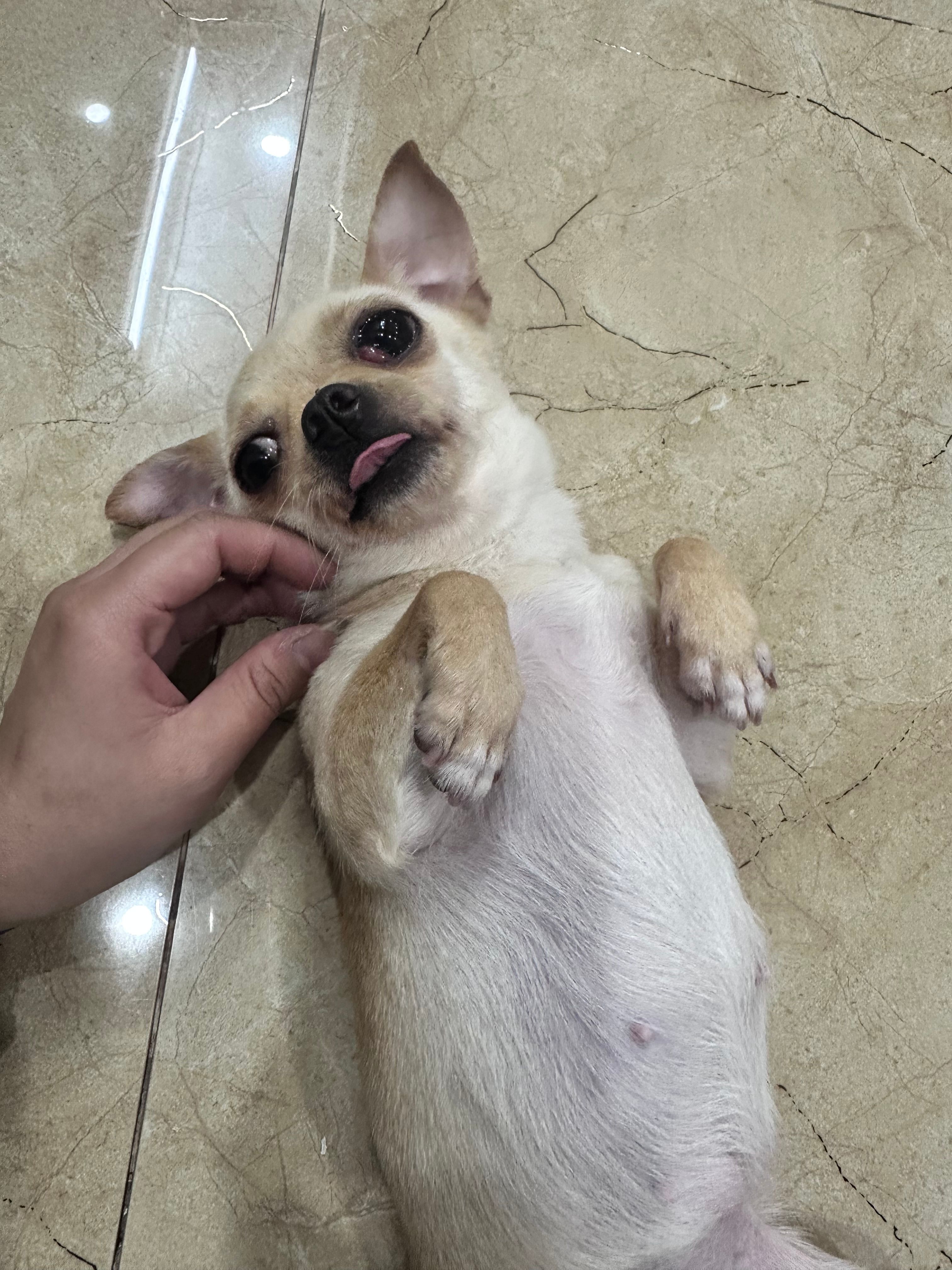 image-11
