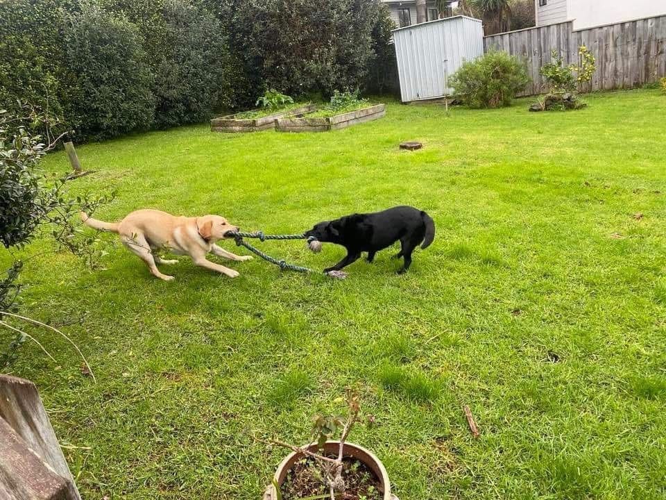 image-33