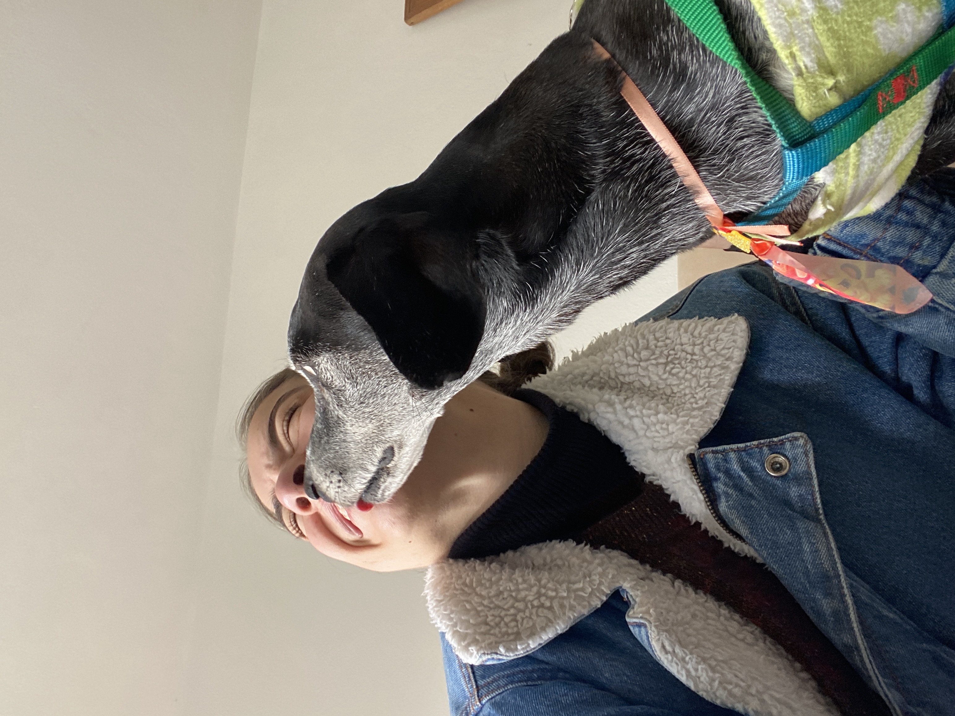 image-10