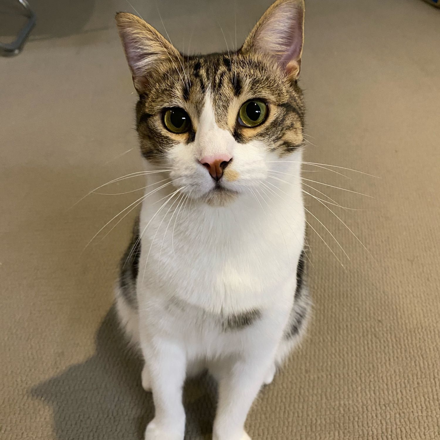 Sebastian
