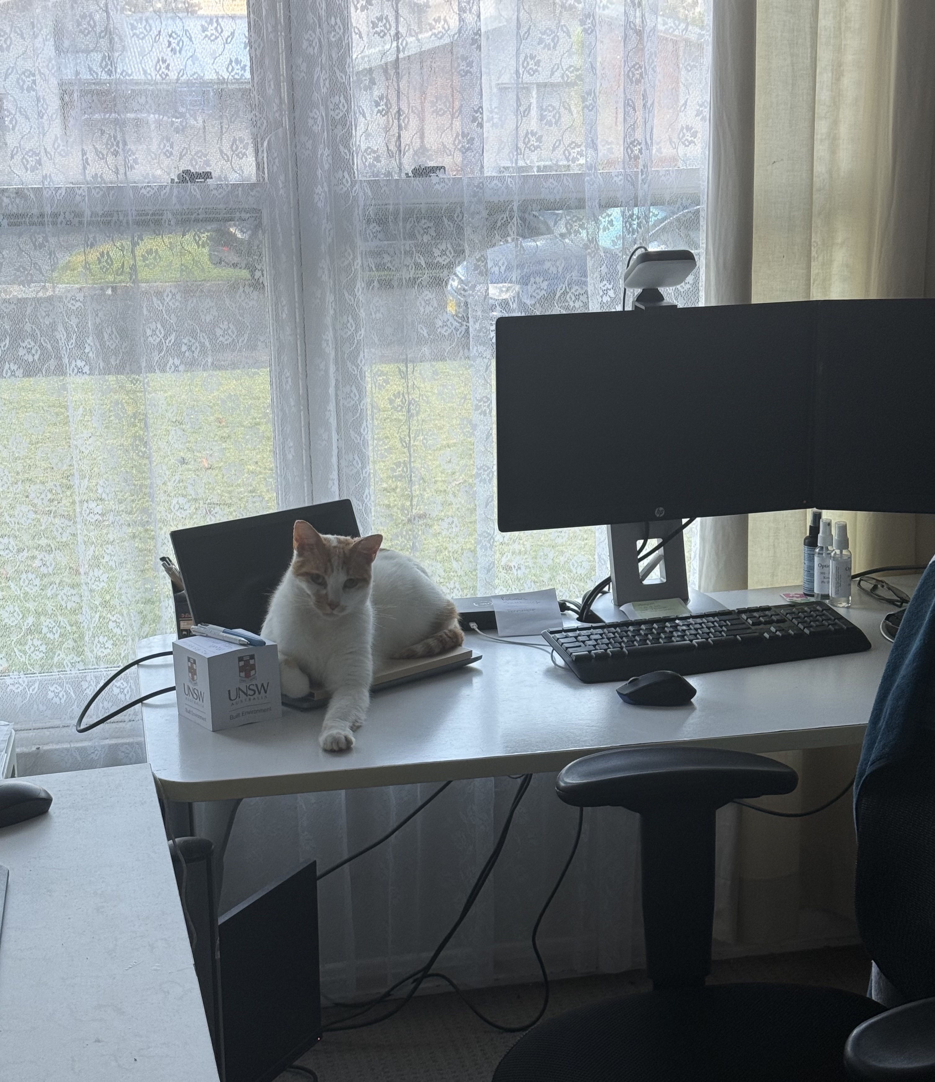 image-5