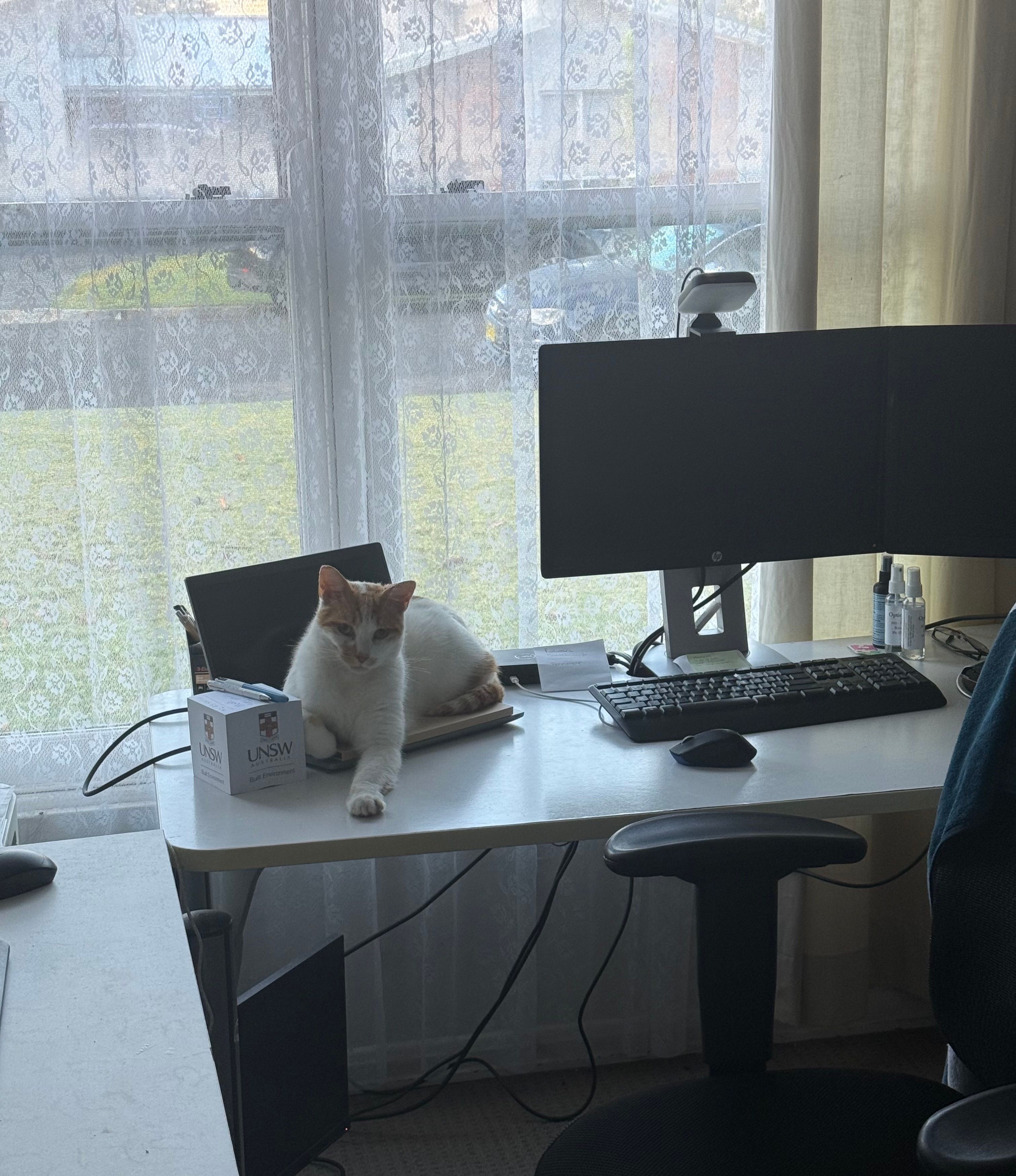 image-5