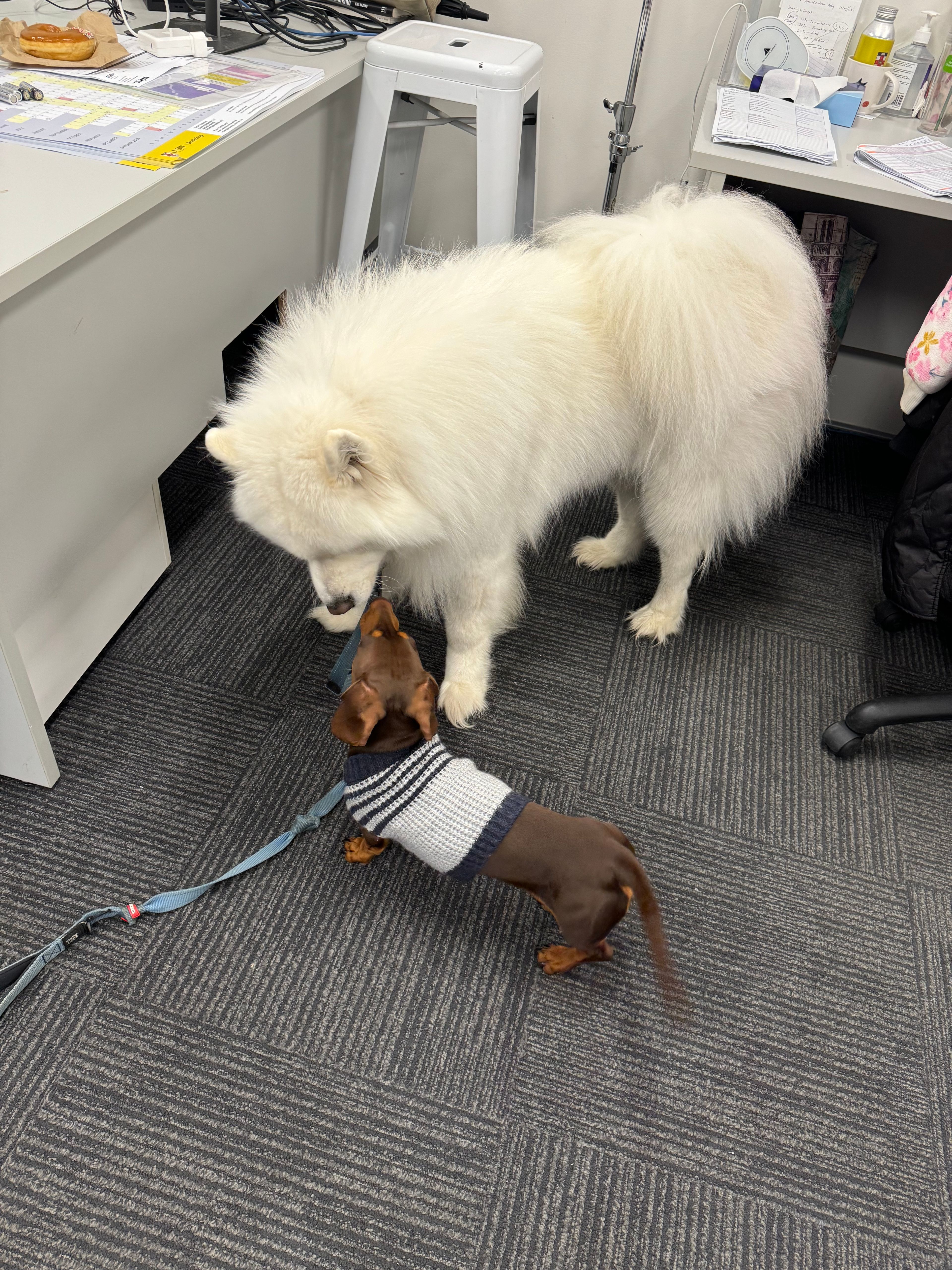 image-2