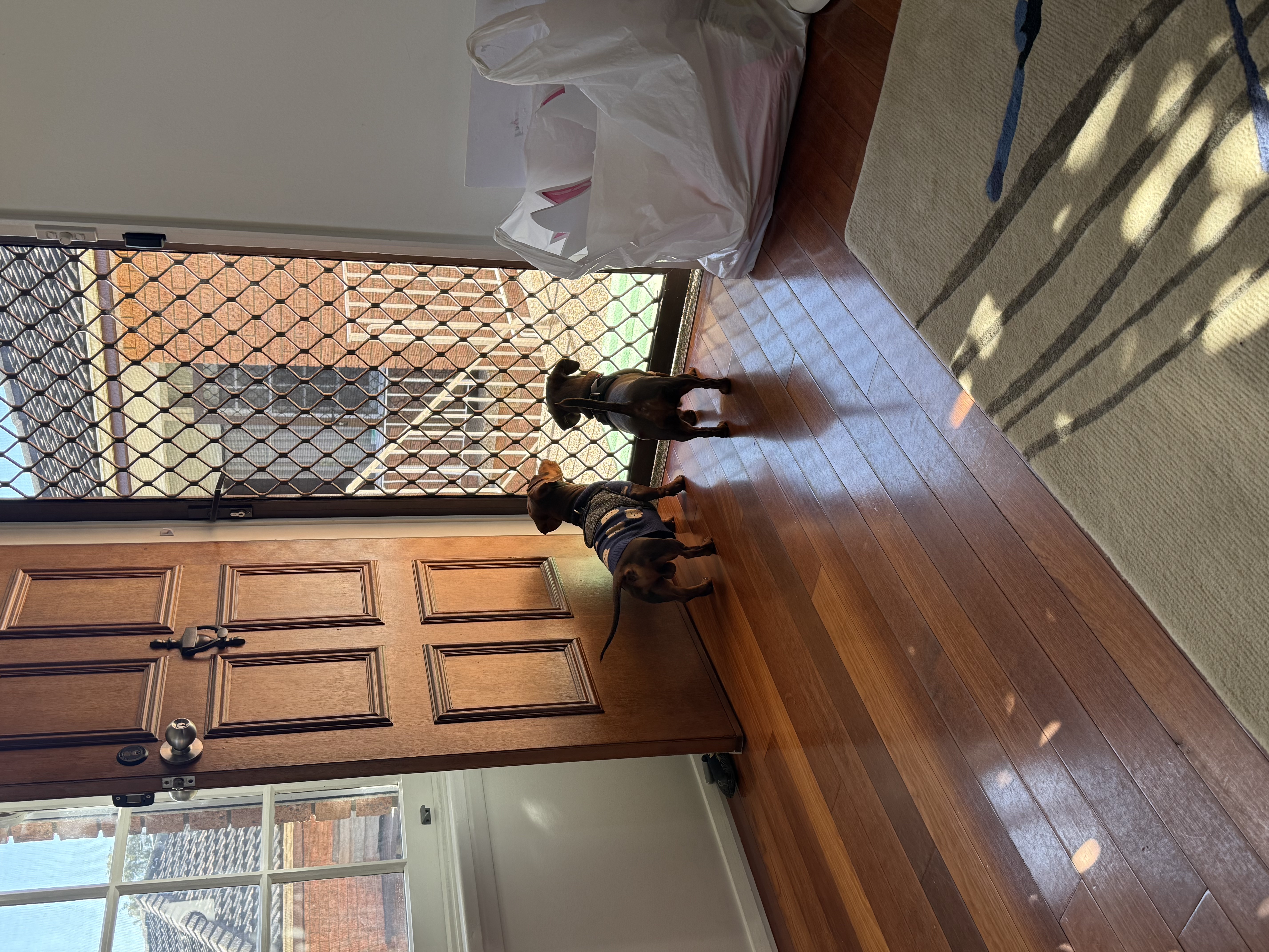image-6