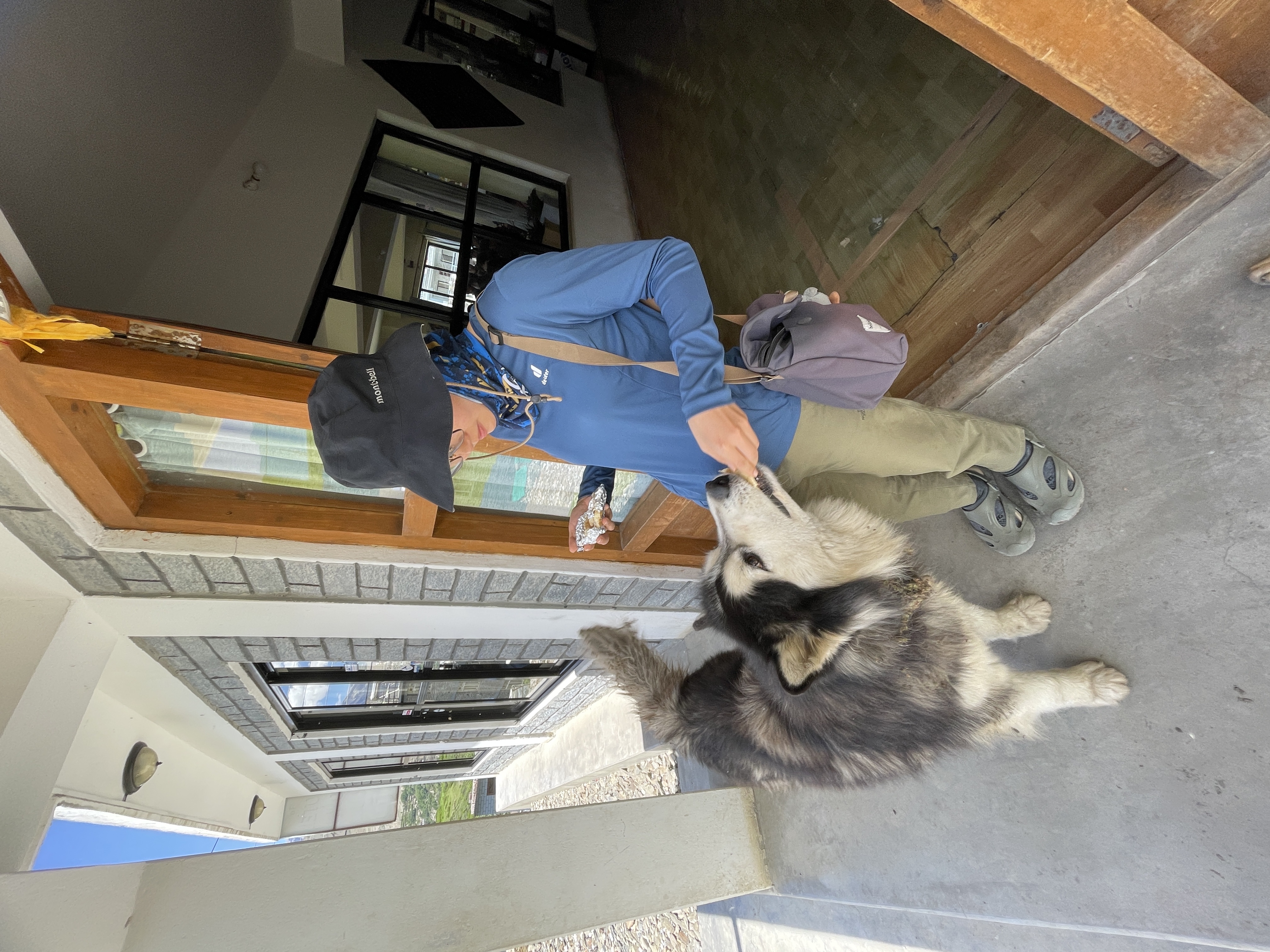 image-5