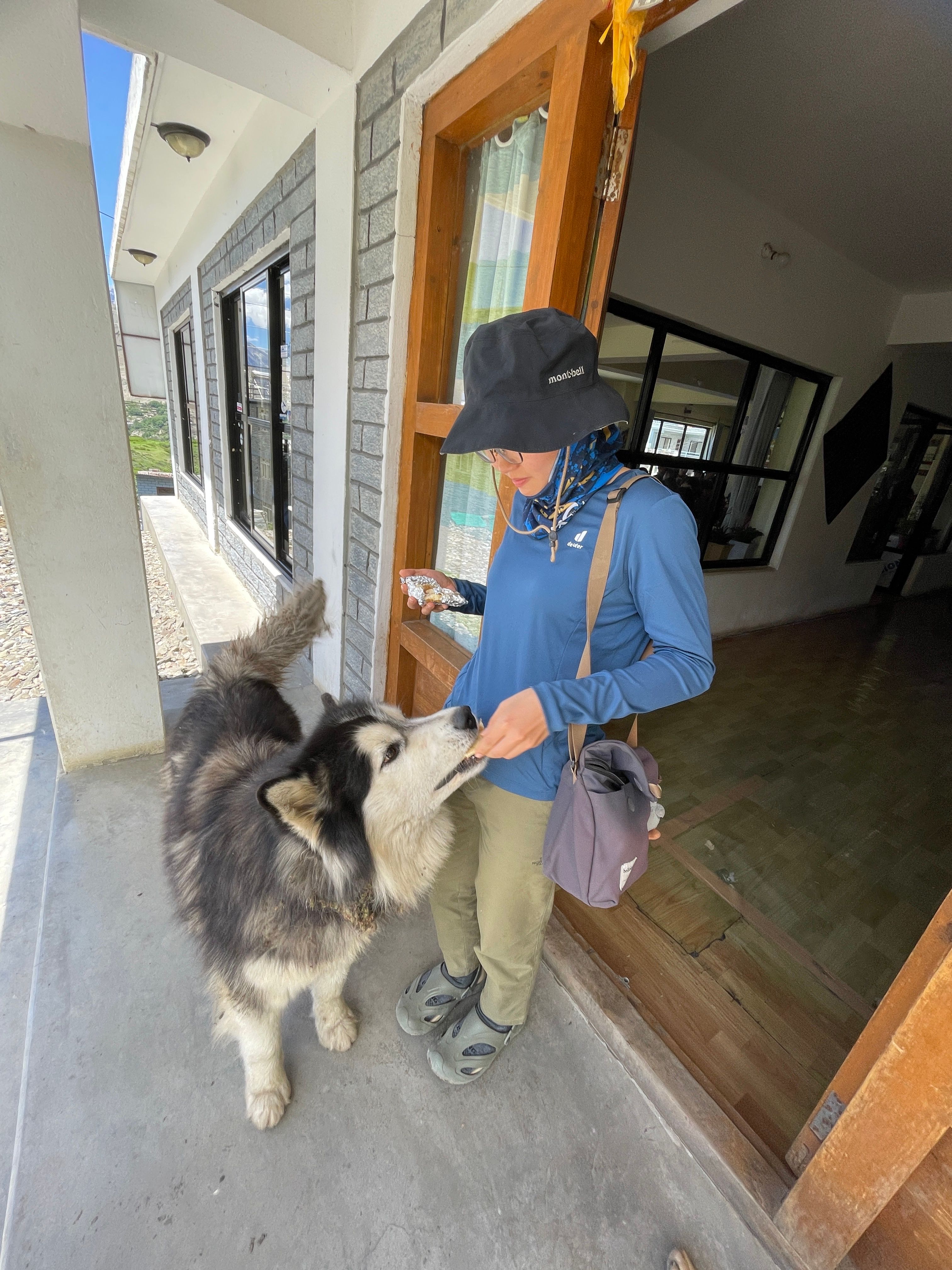 image-5