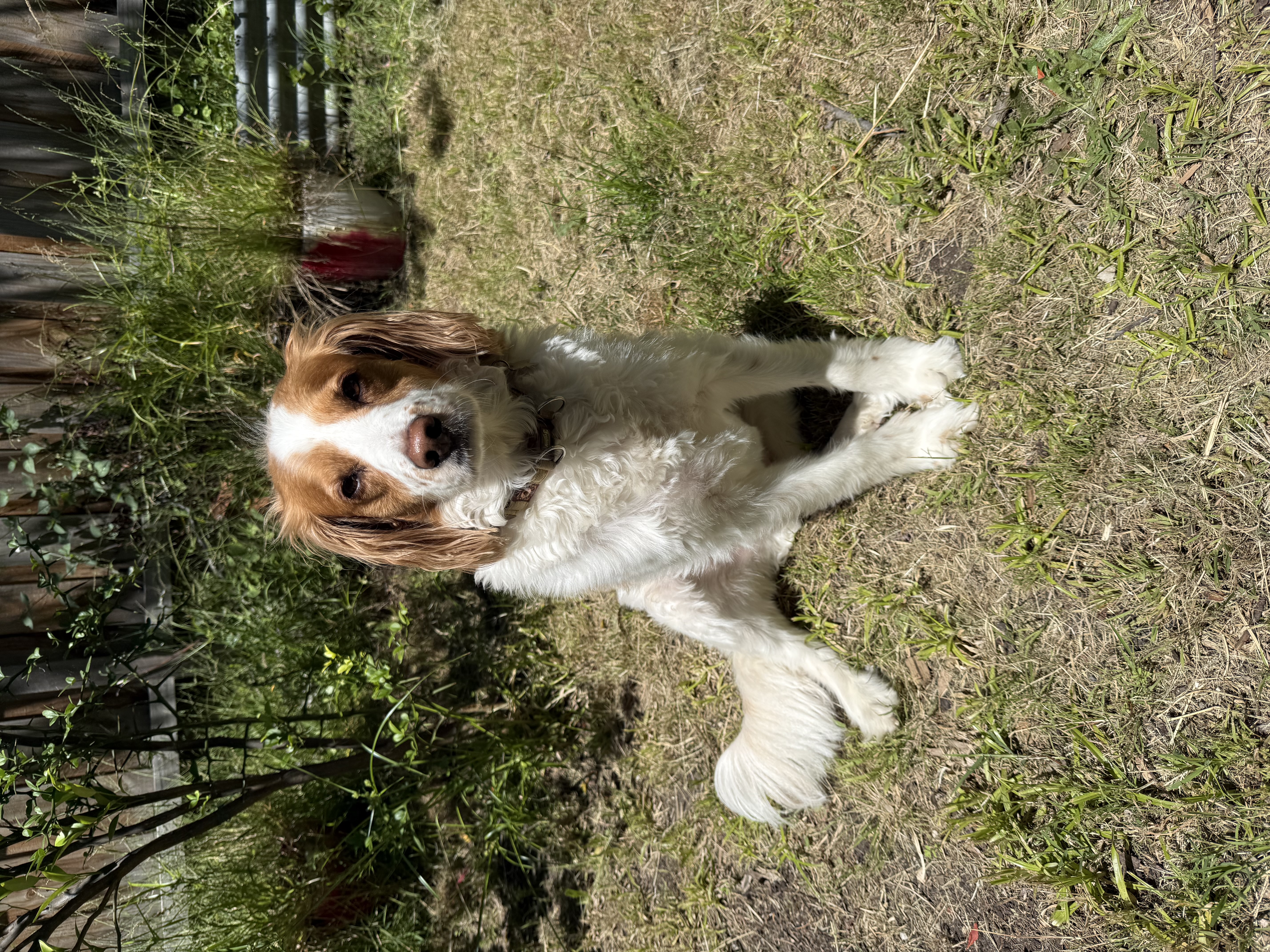image-5