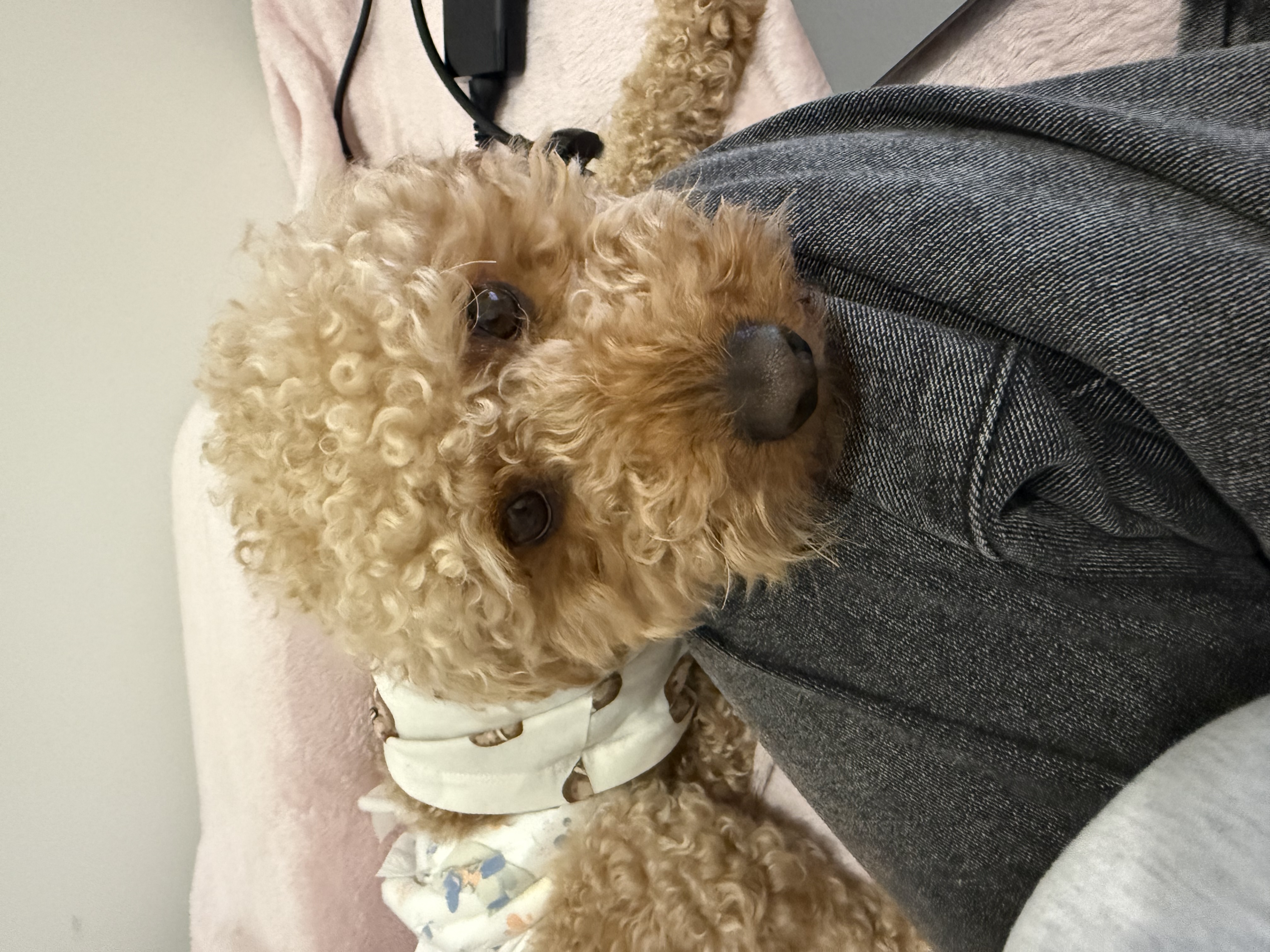 image-3