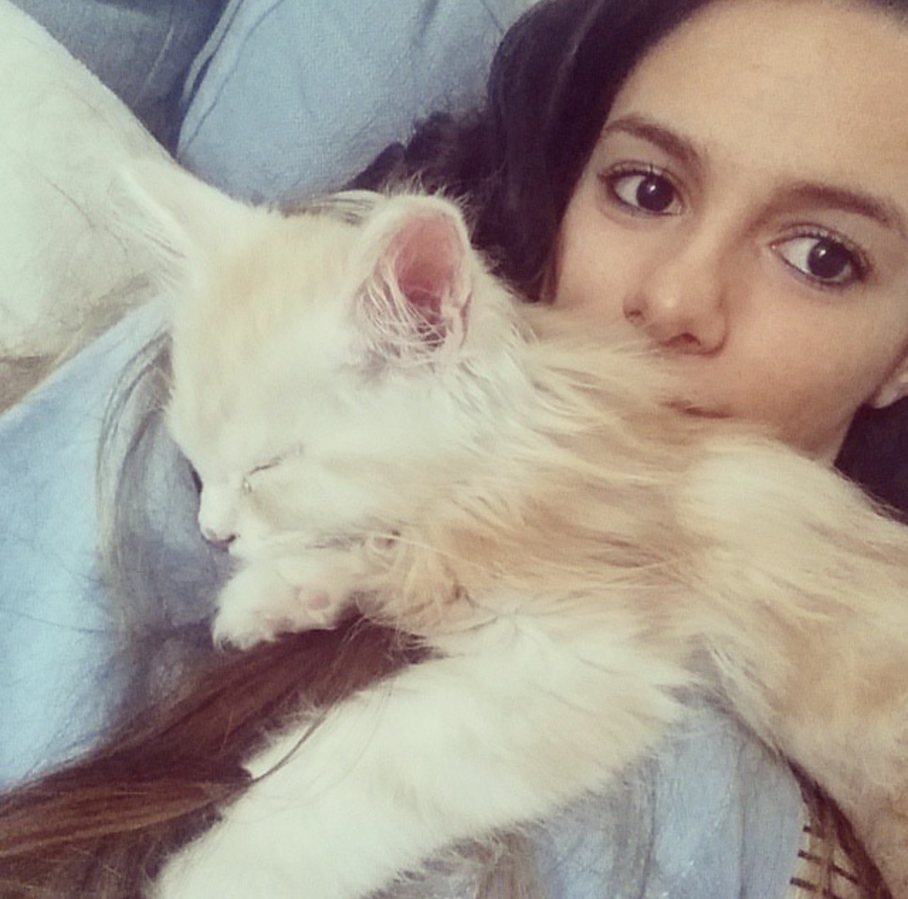 image-8