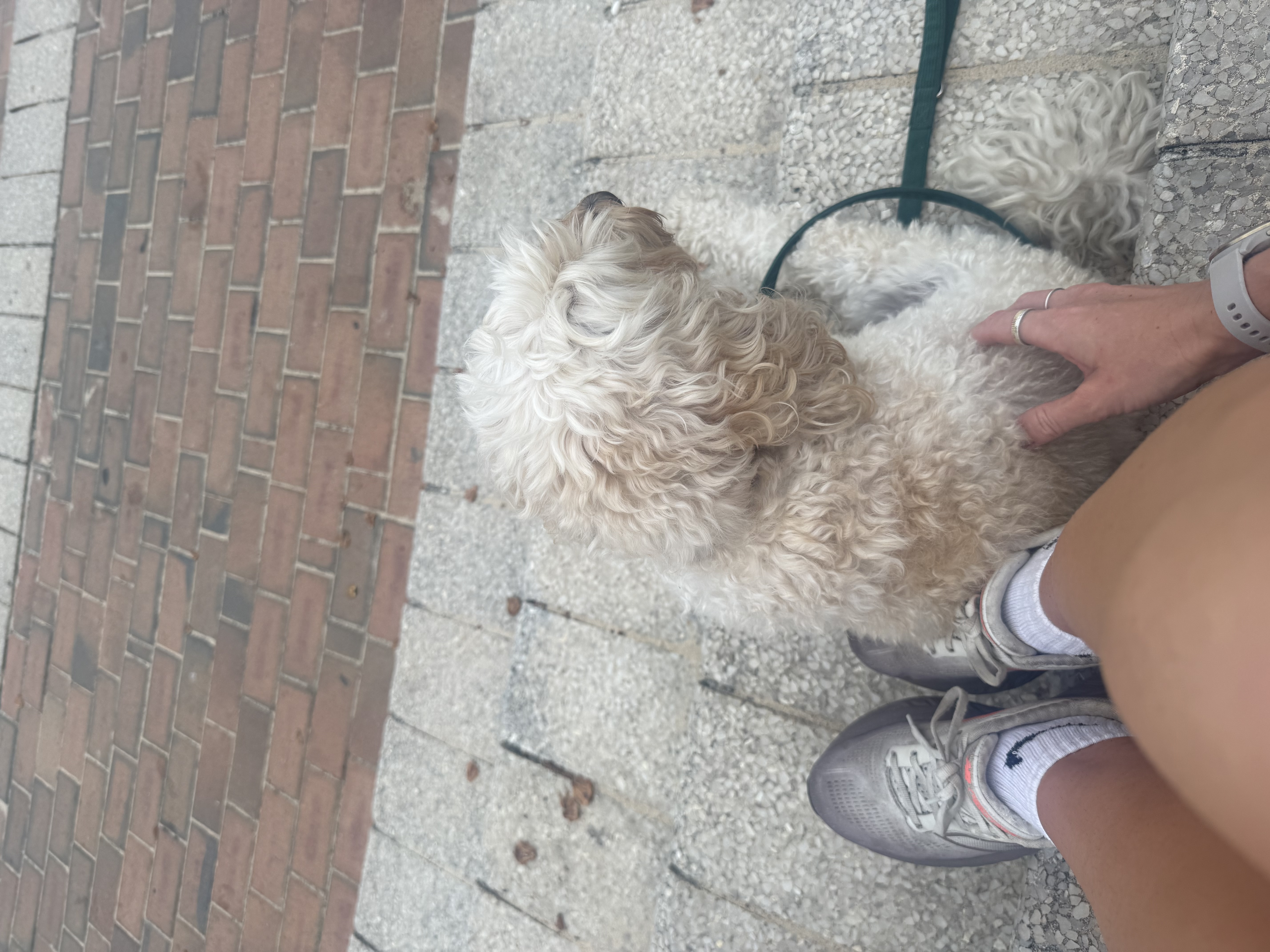 image-16