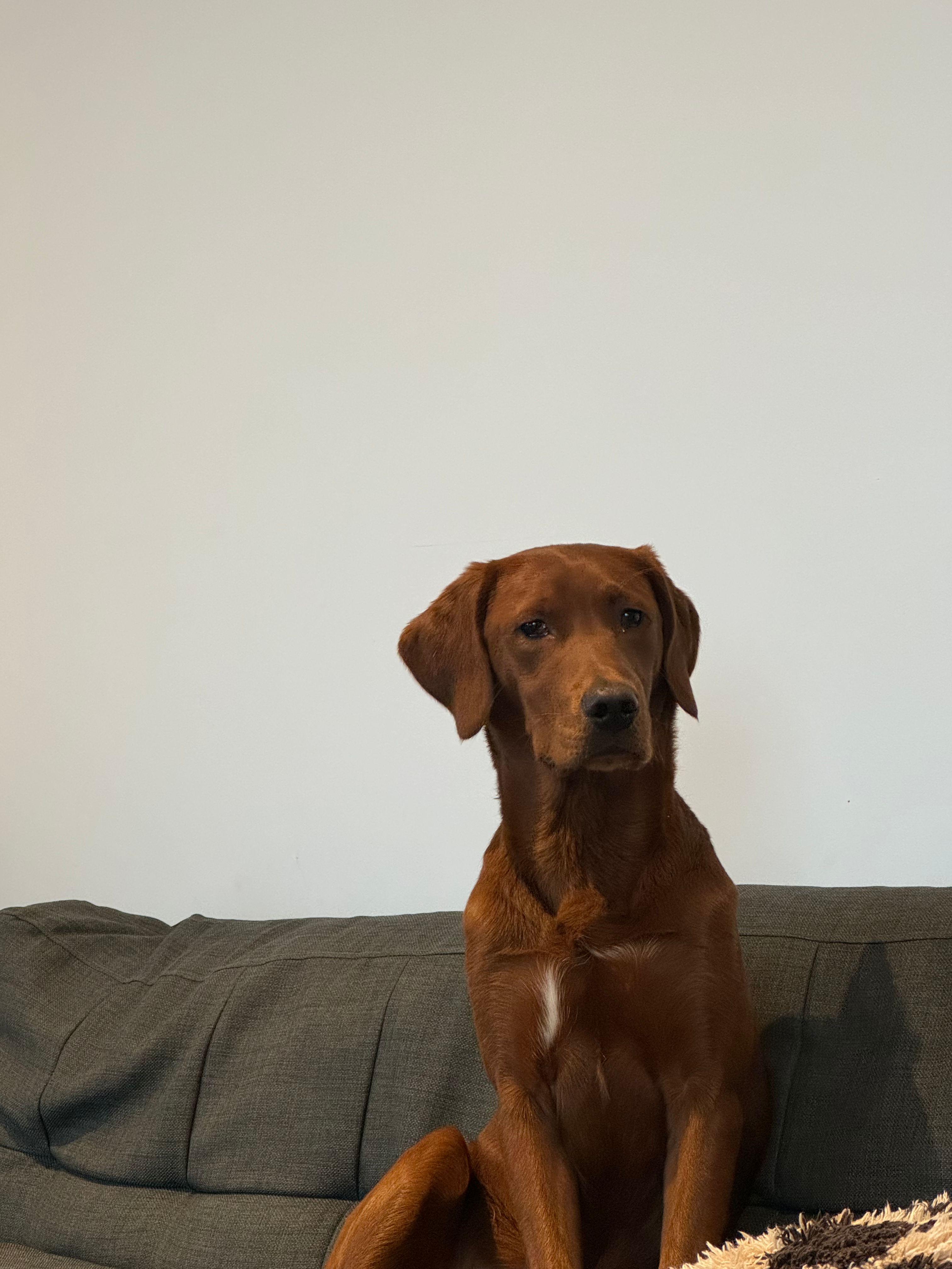 image-6
