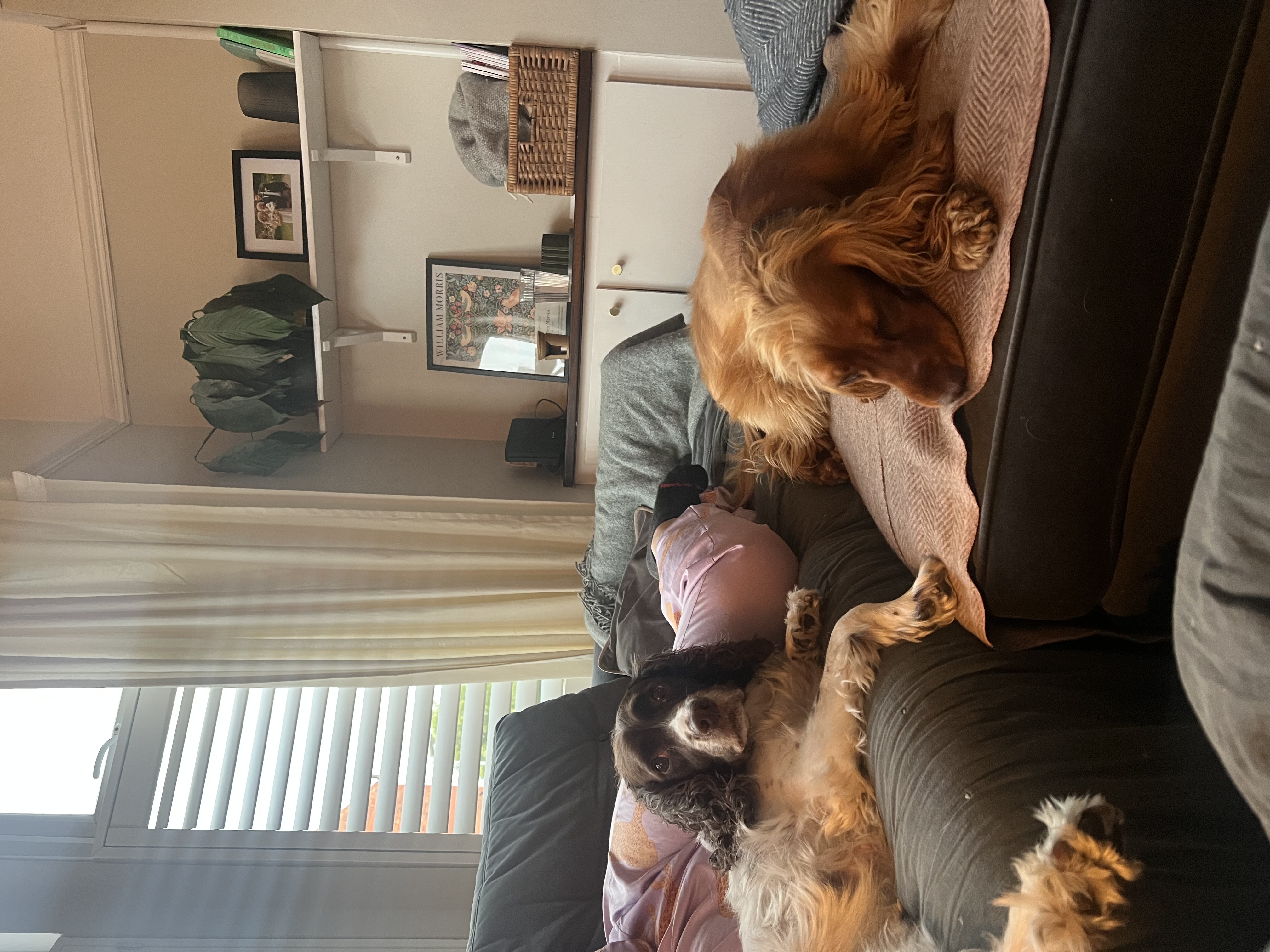 image-13