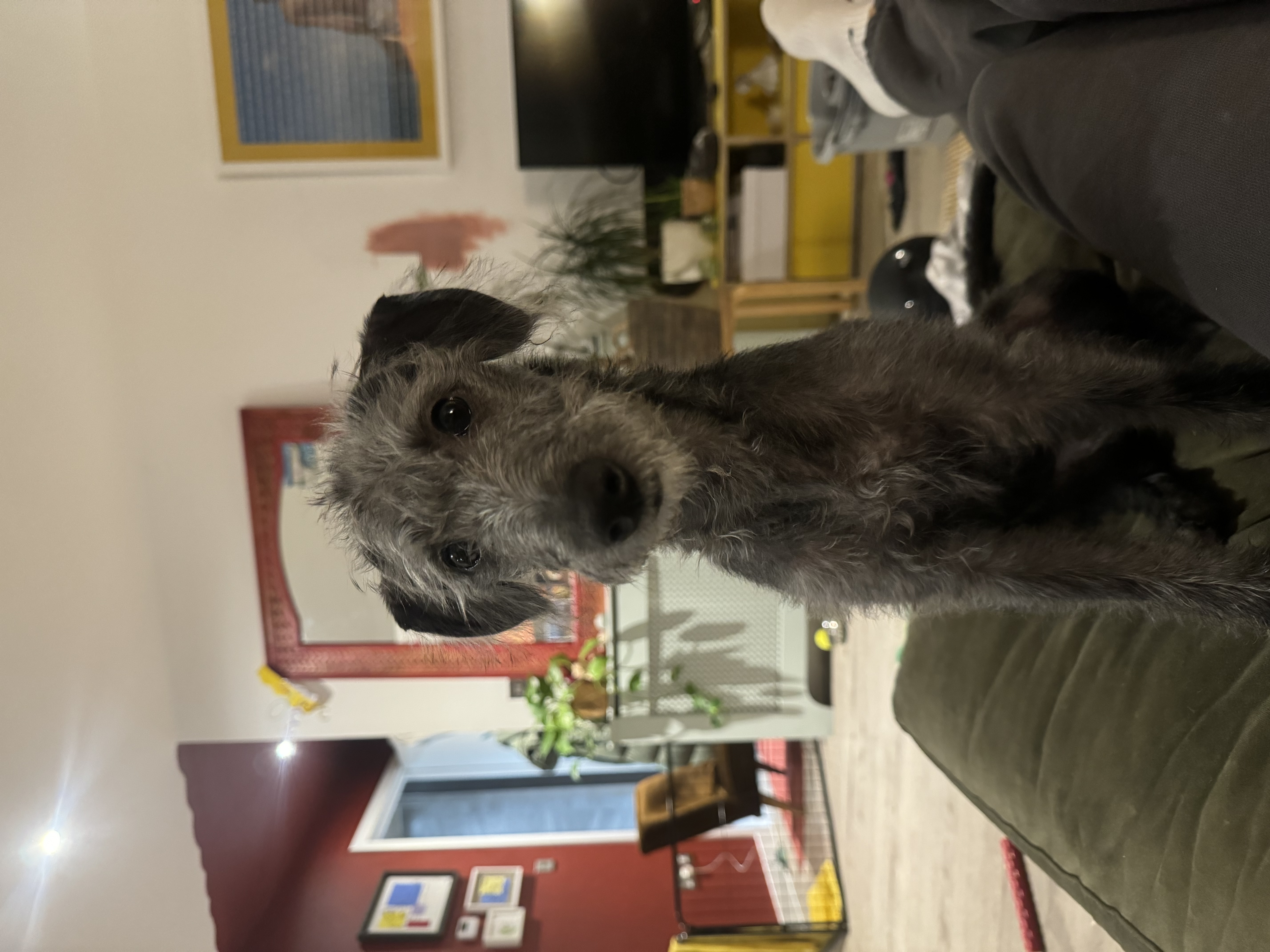 image-12