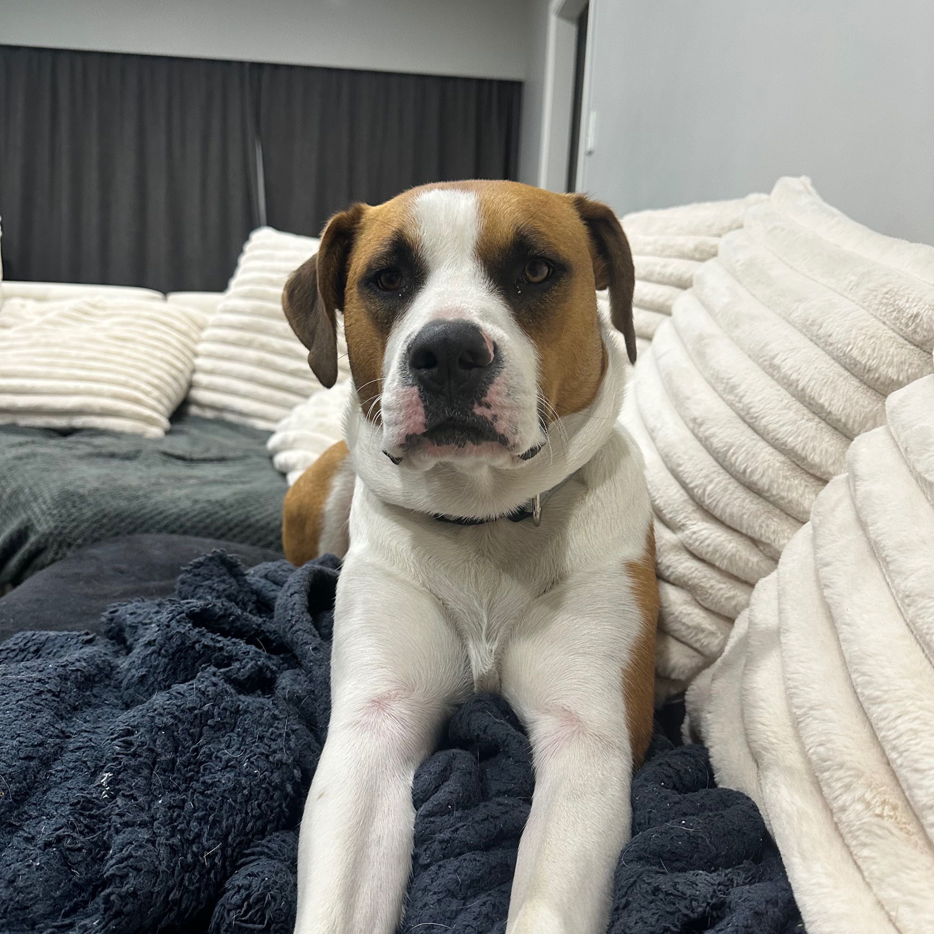 Charlie