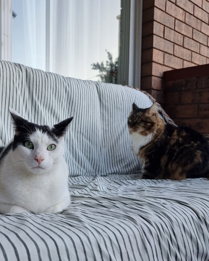 image-8