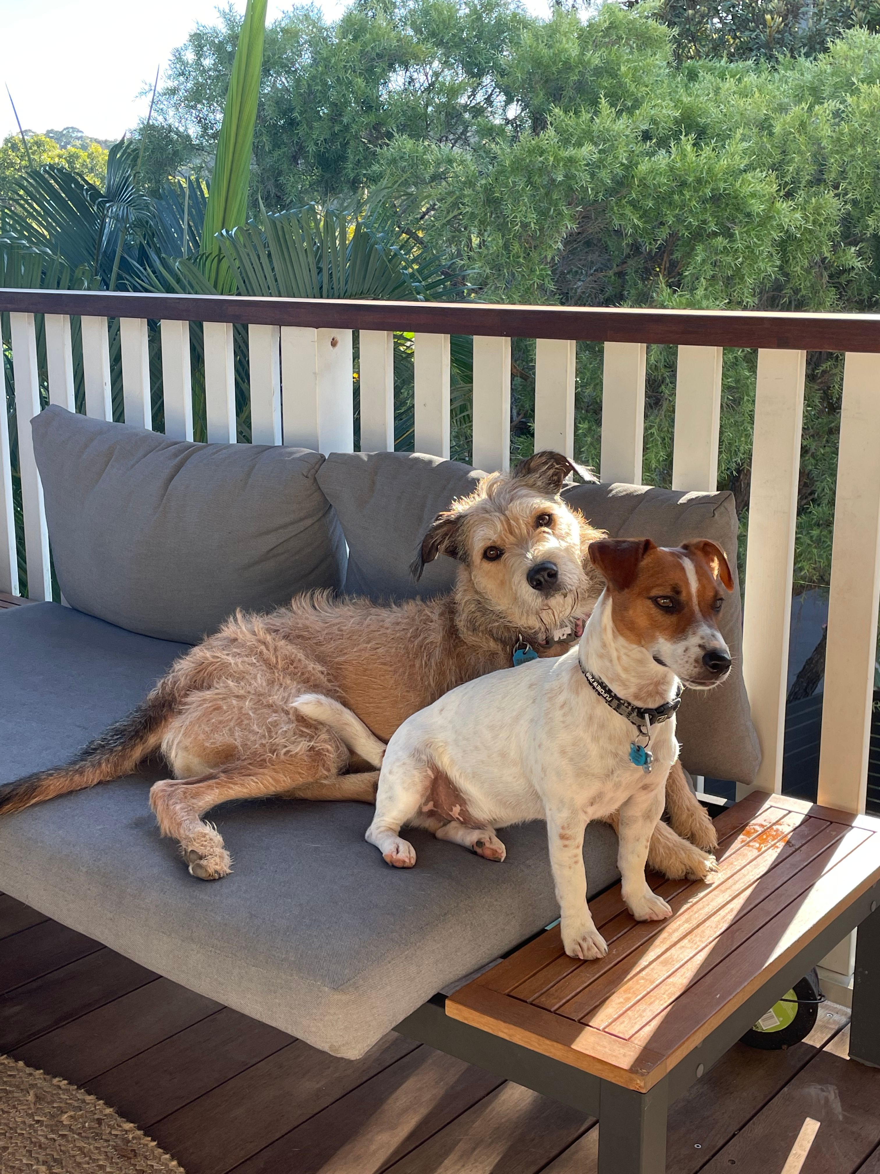 image-5
