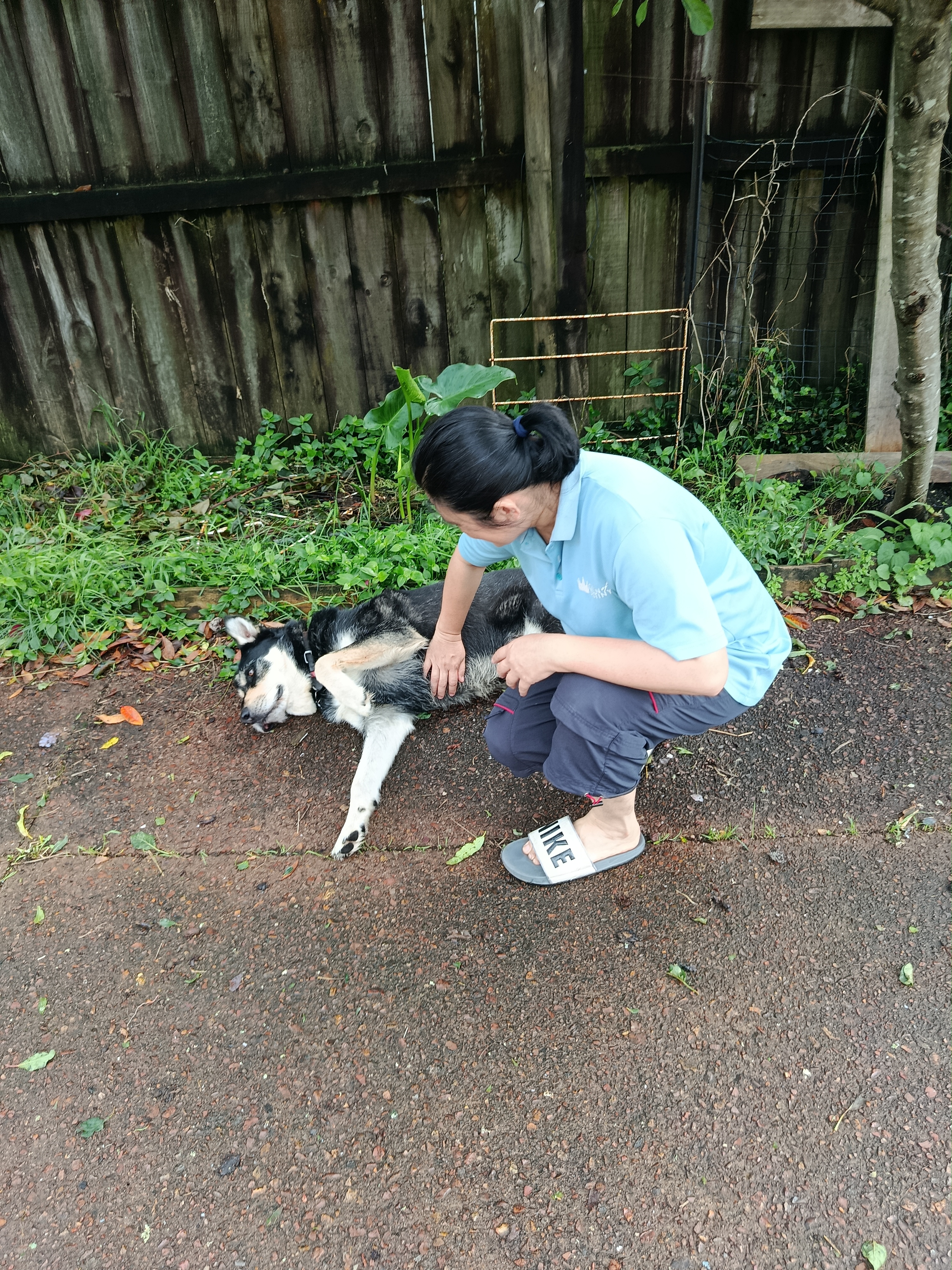 image-5