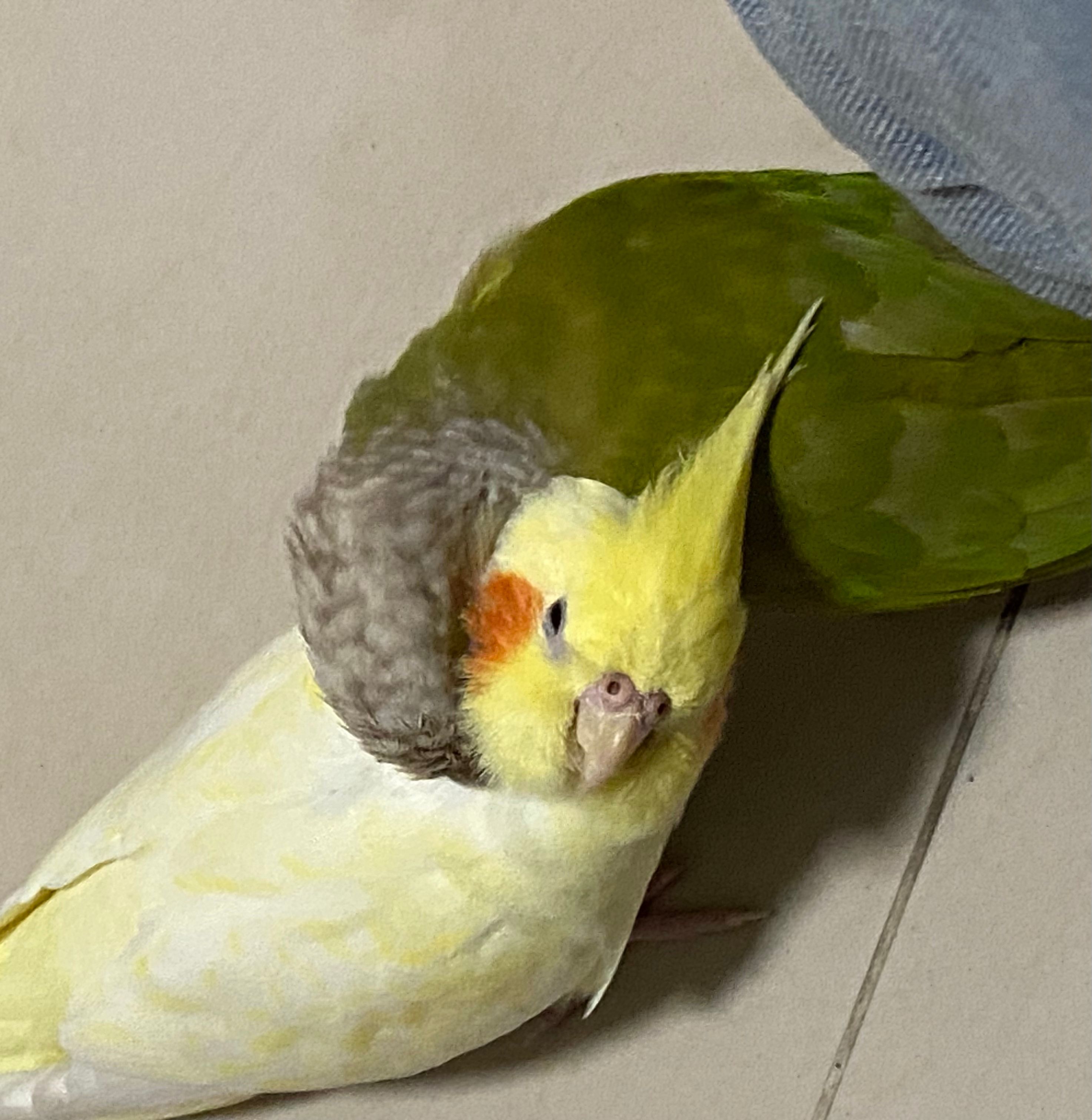 image-6