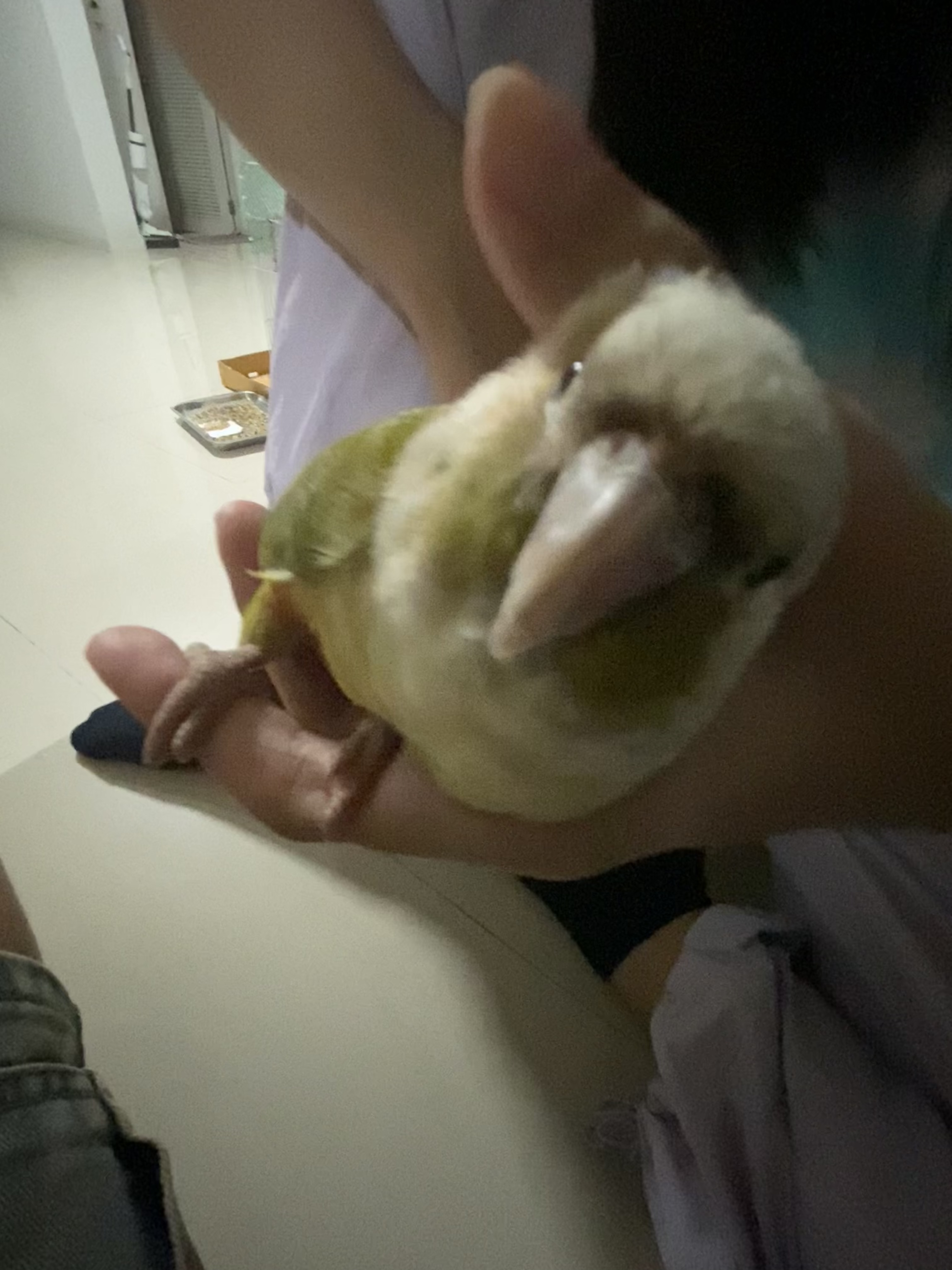 image-7