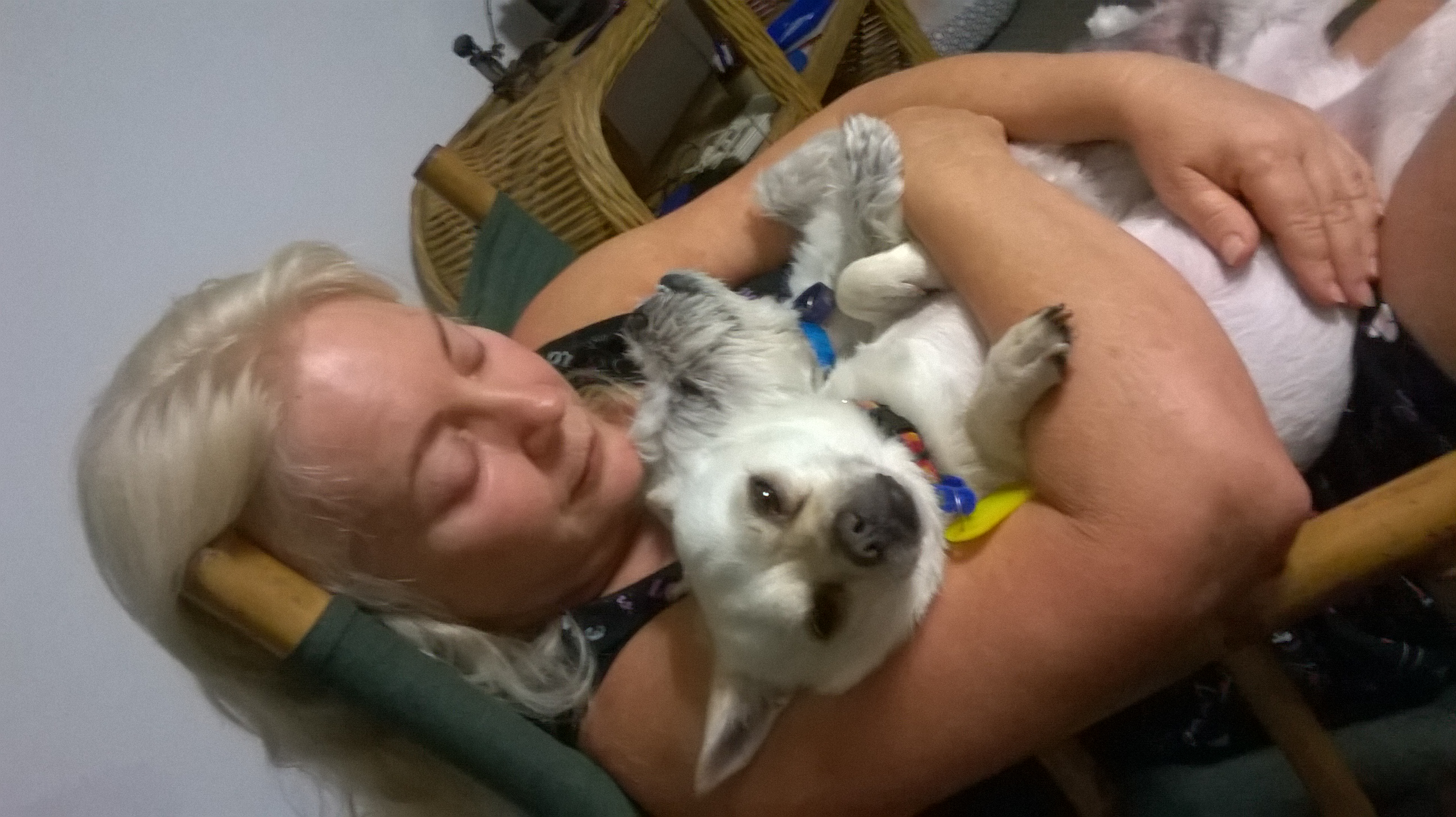 image-11