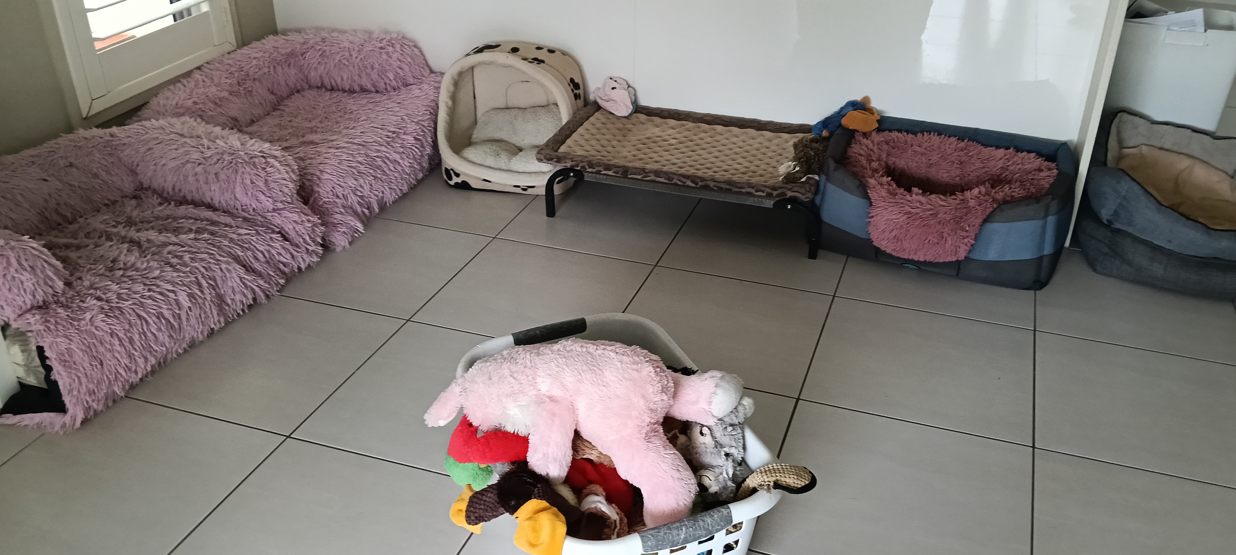 image-17