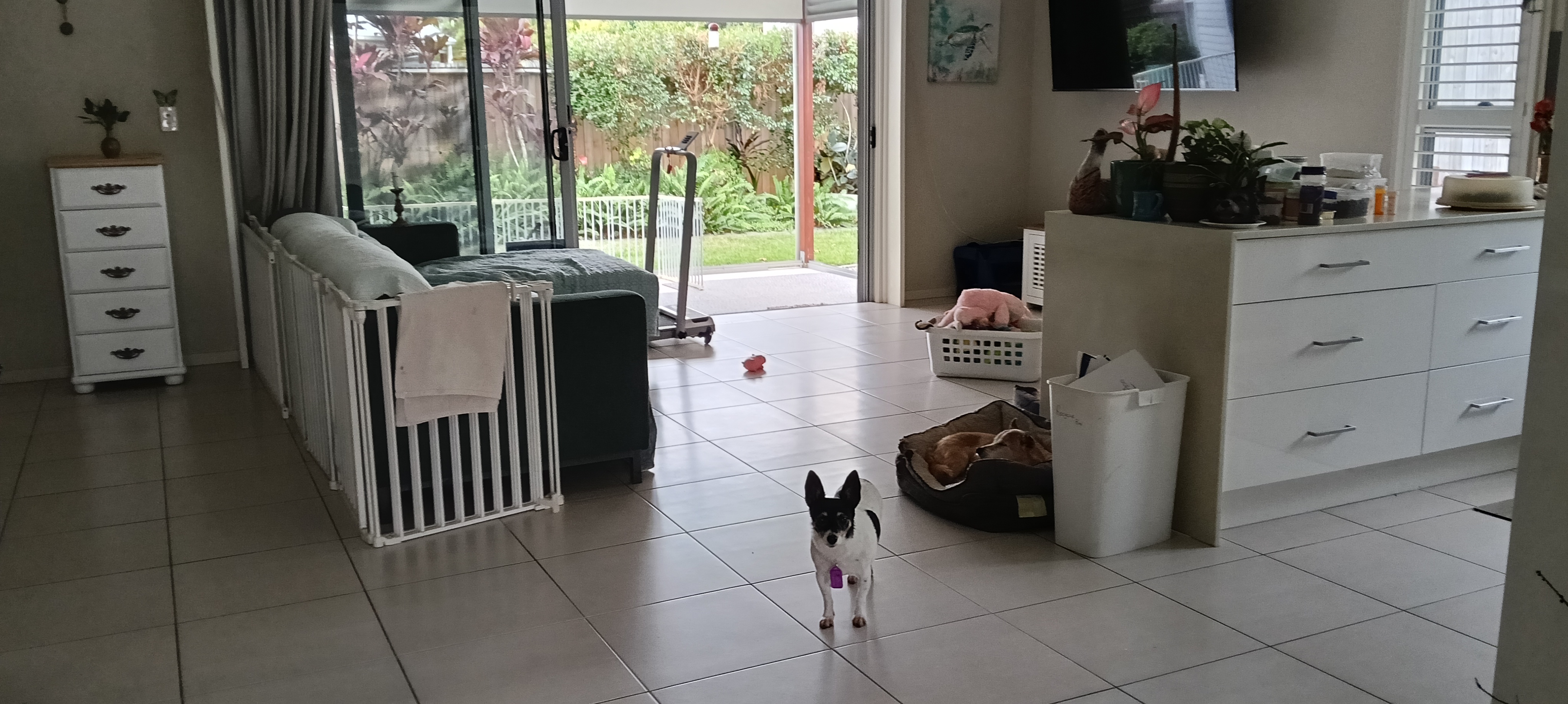 image-16
