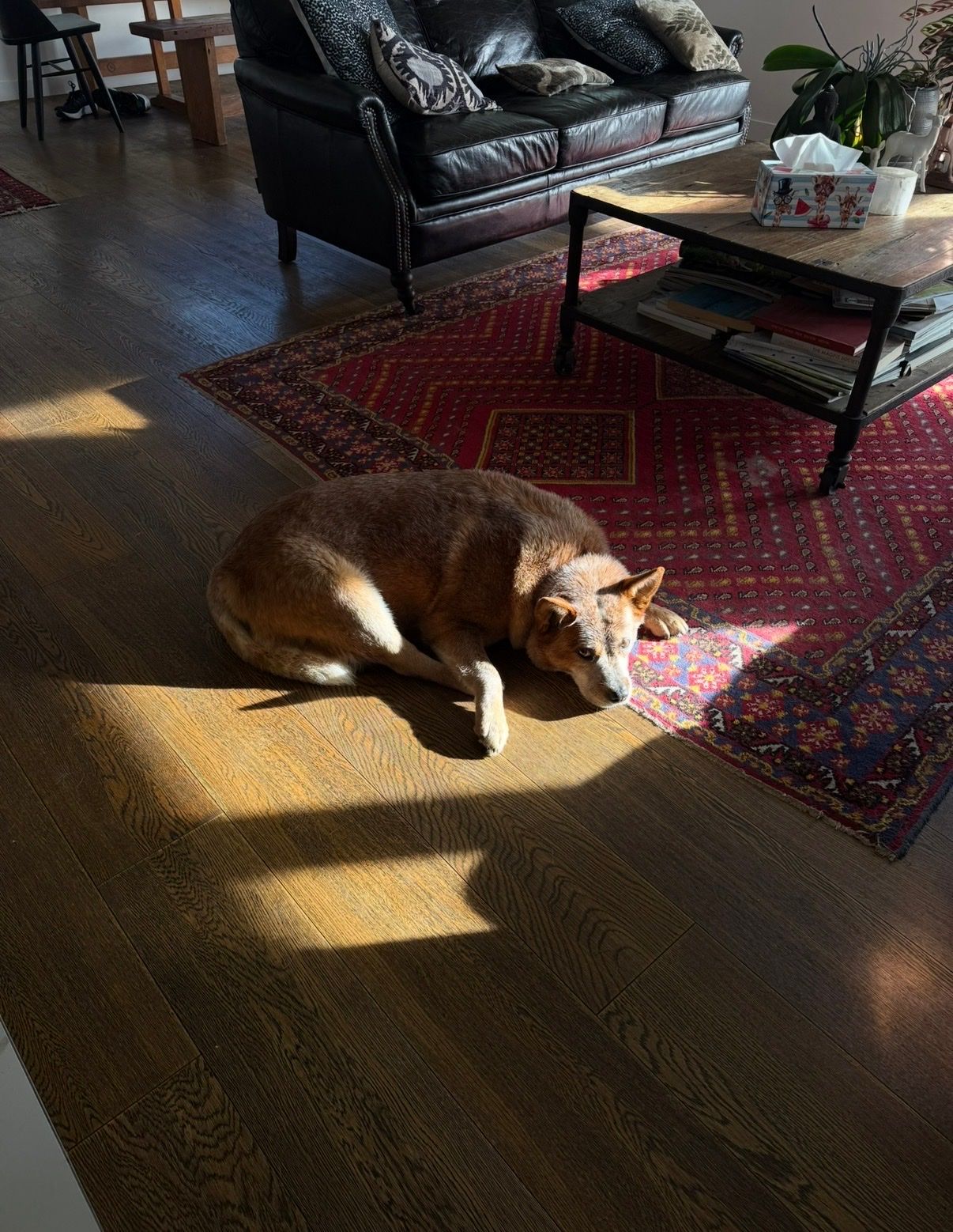 image-6