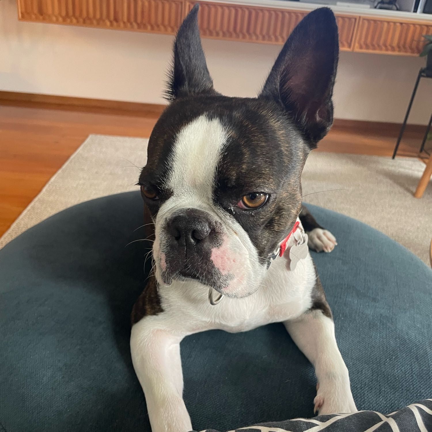 Bowie