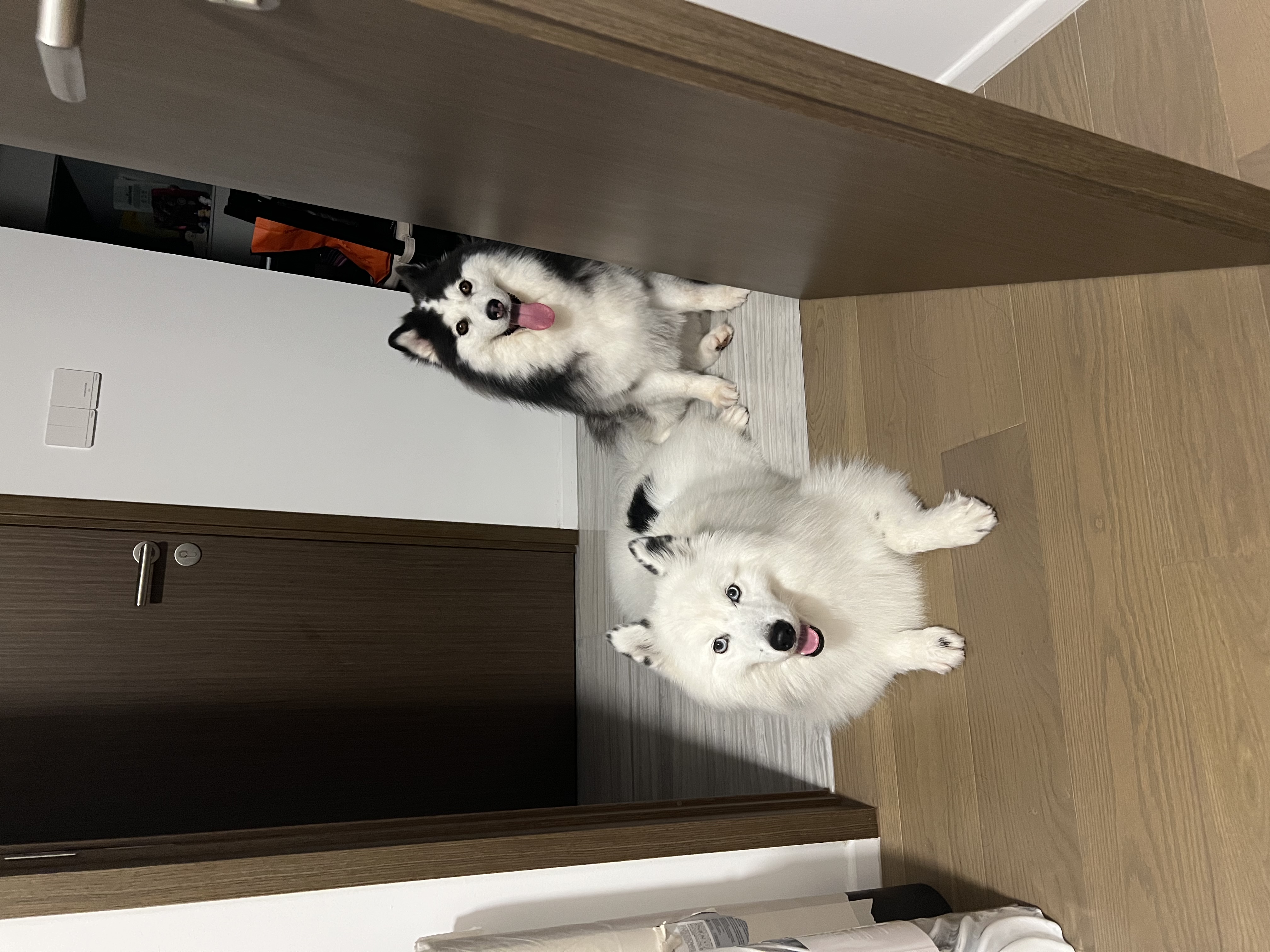 image-20