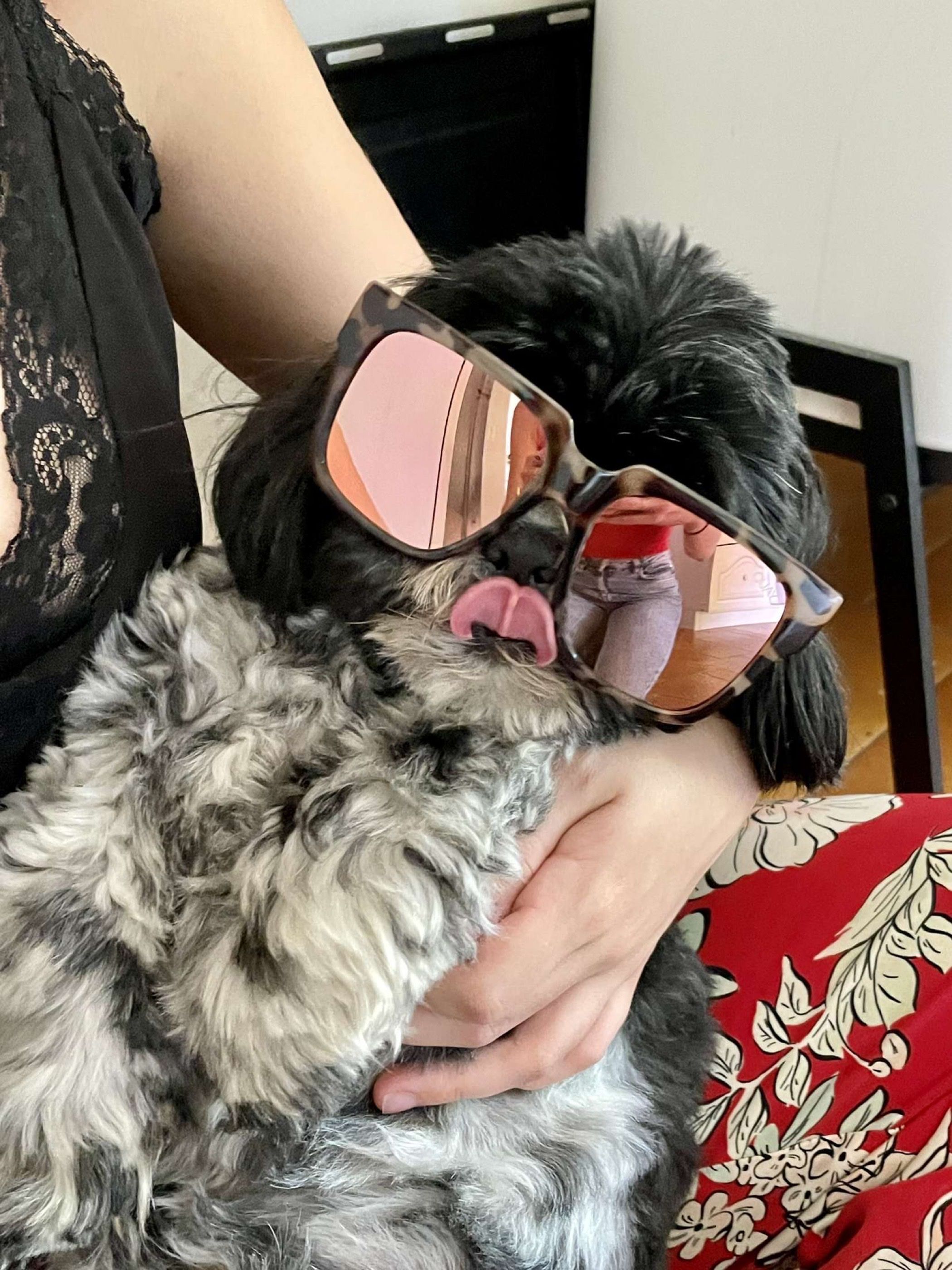 image-6