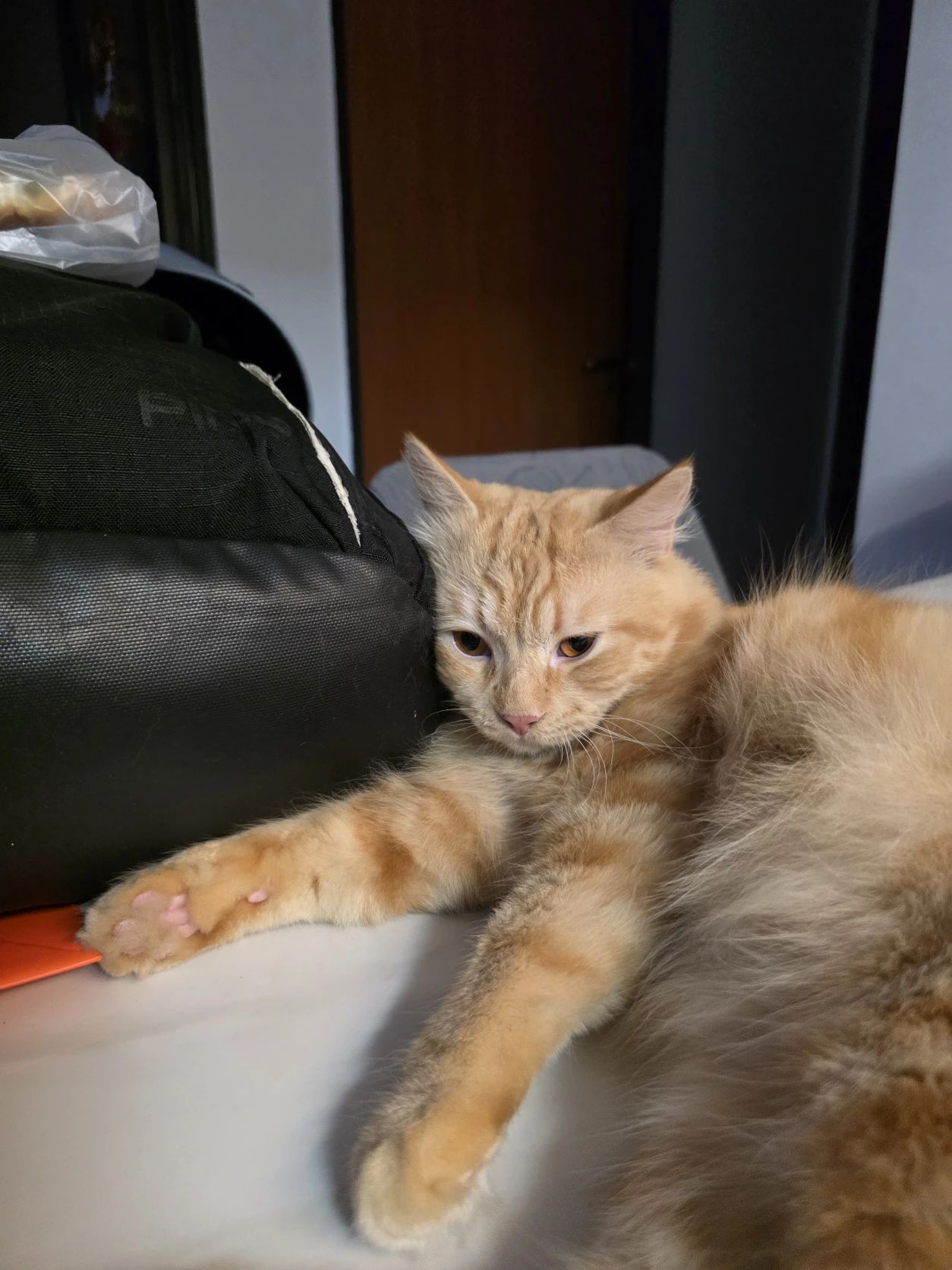 image-5