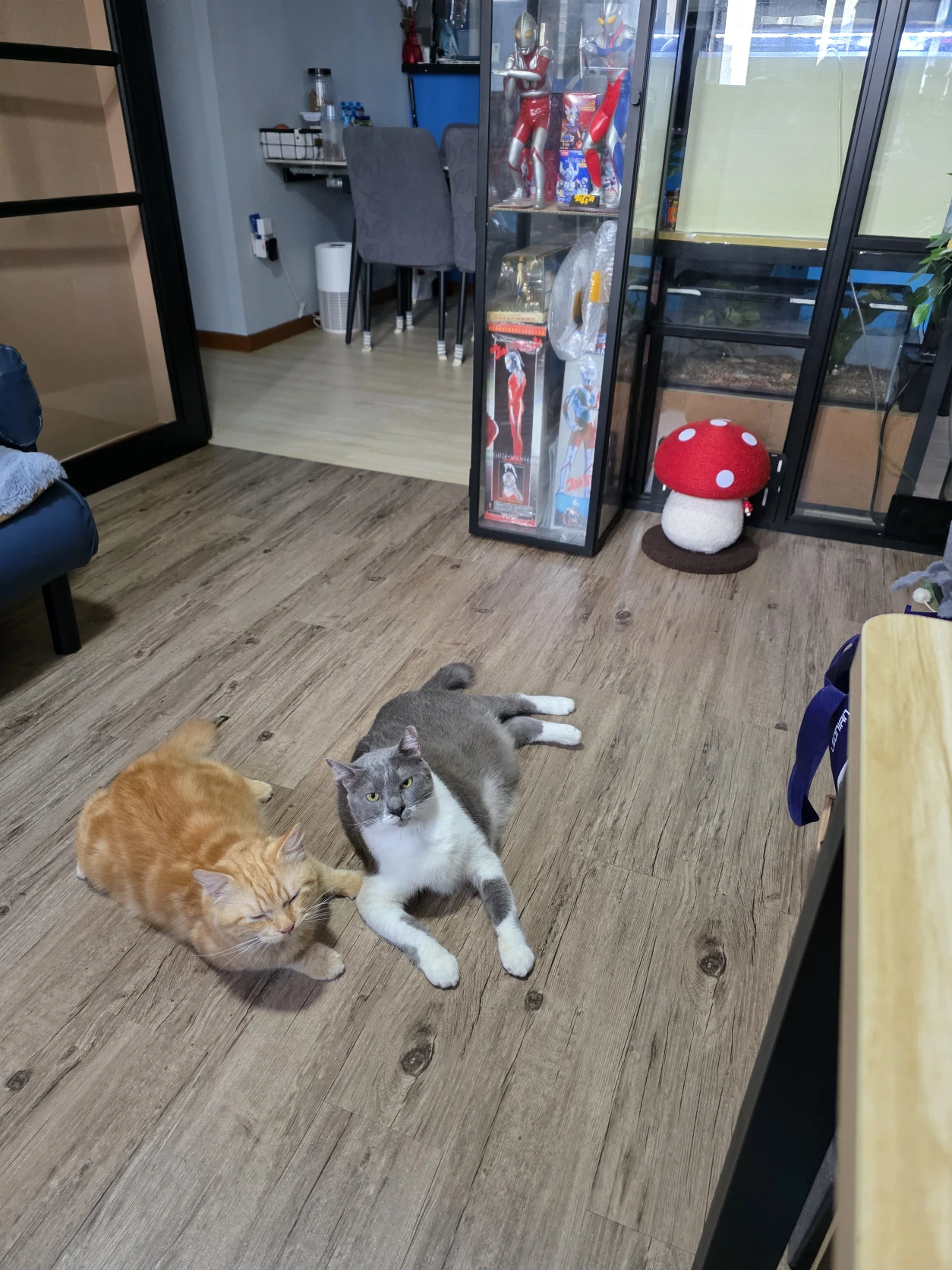 image-6
