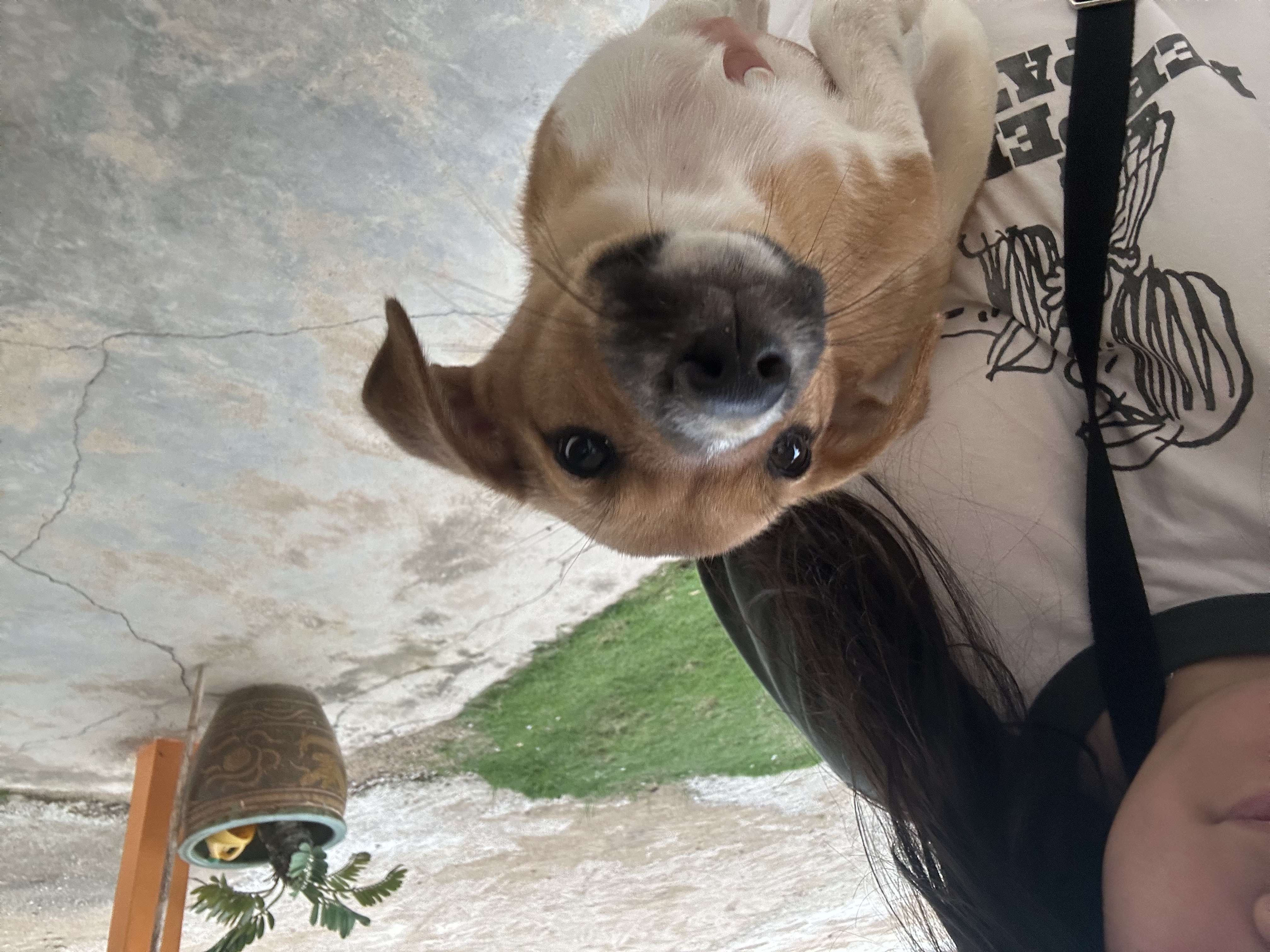 image-6
