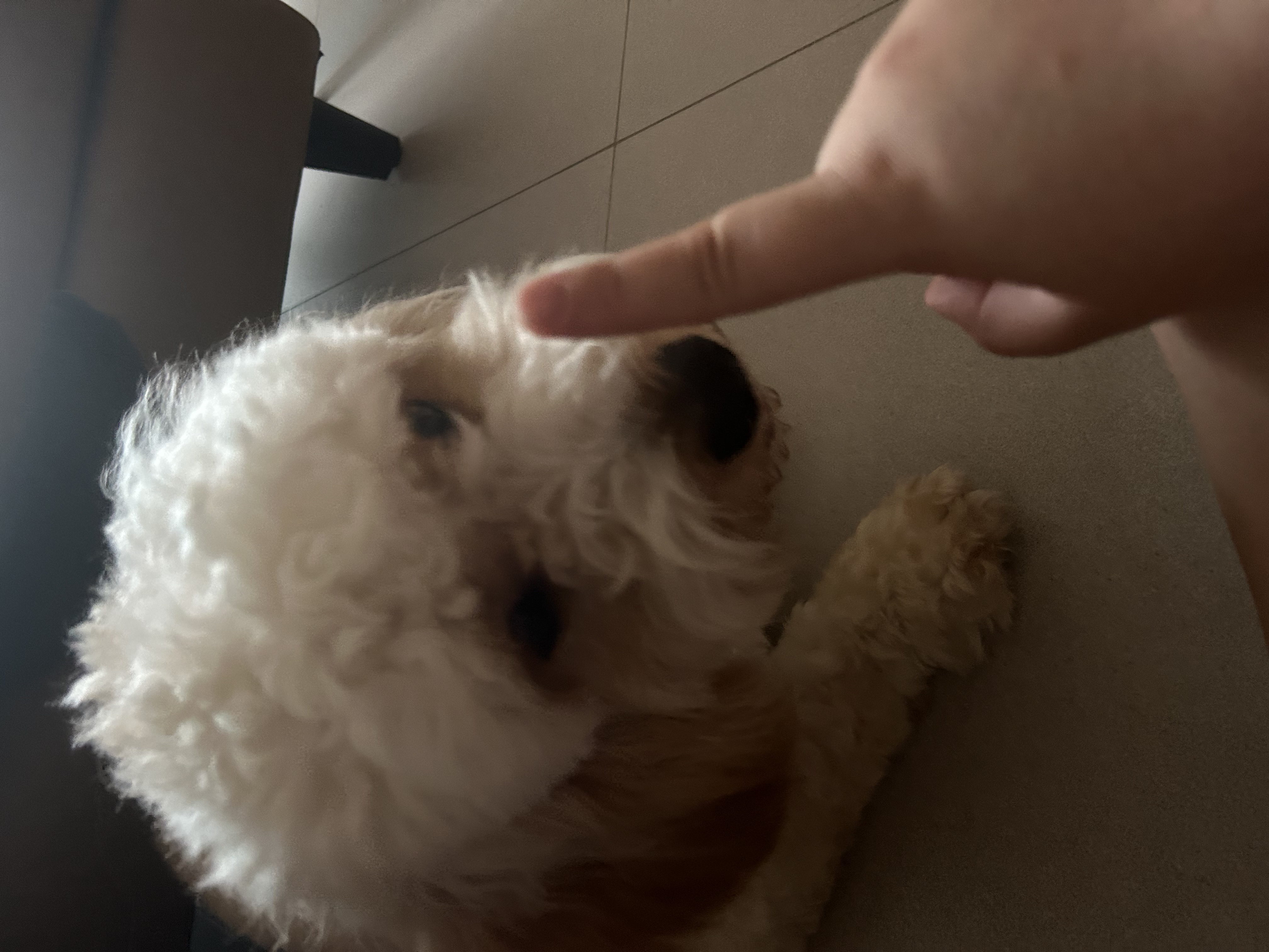 image-7