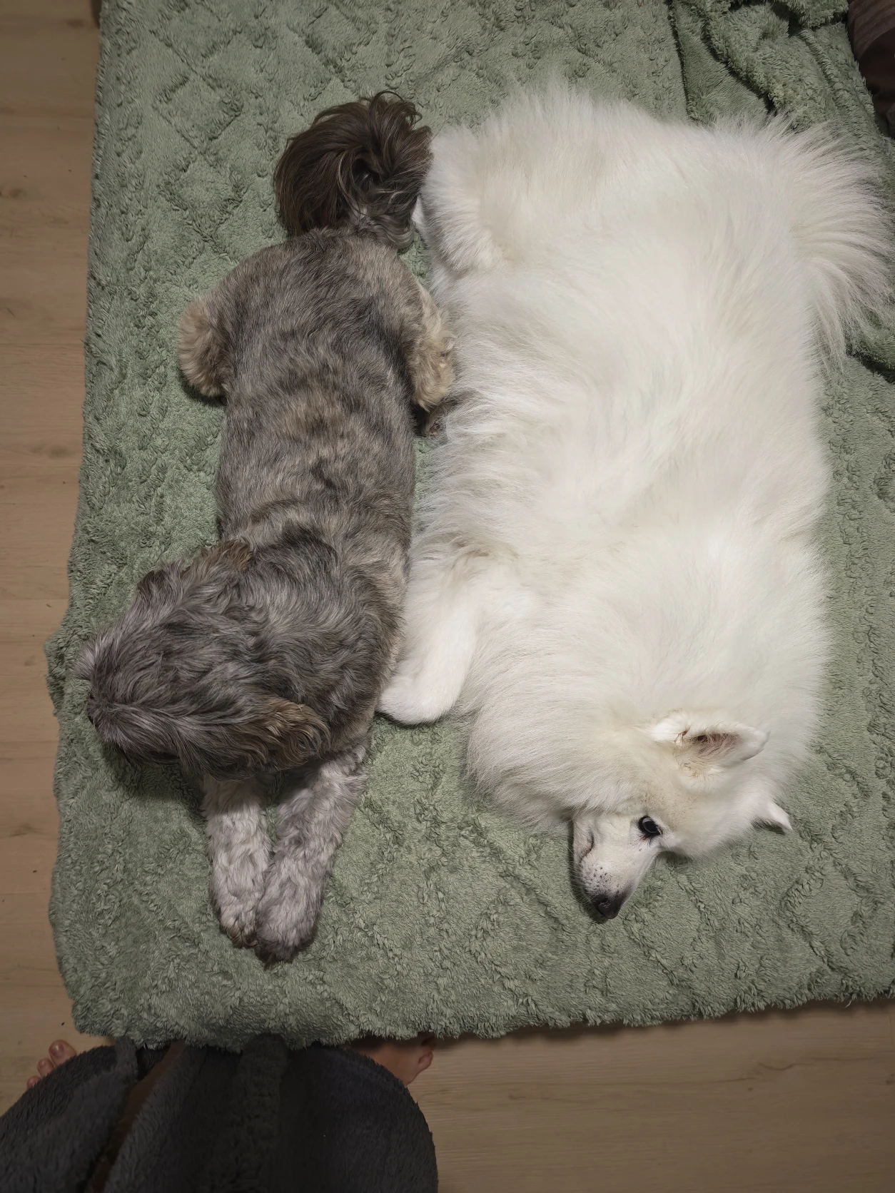 image-48