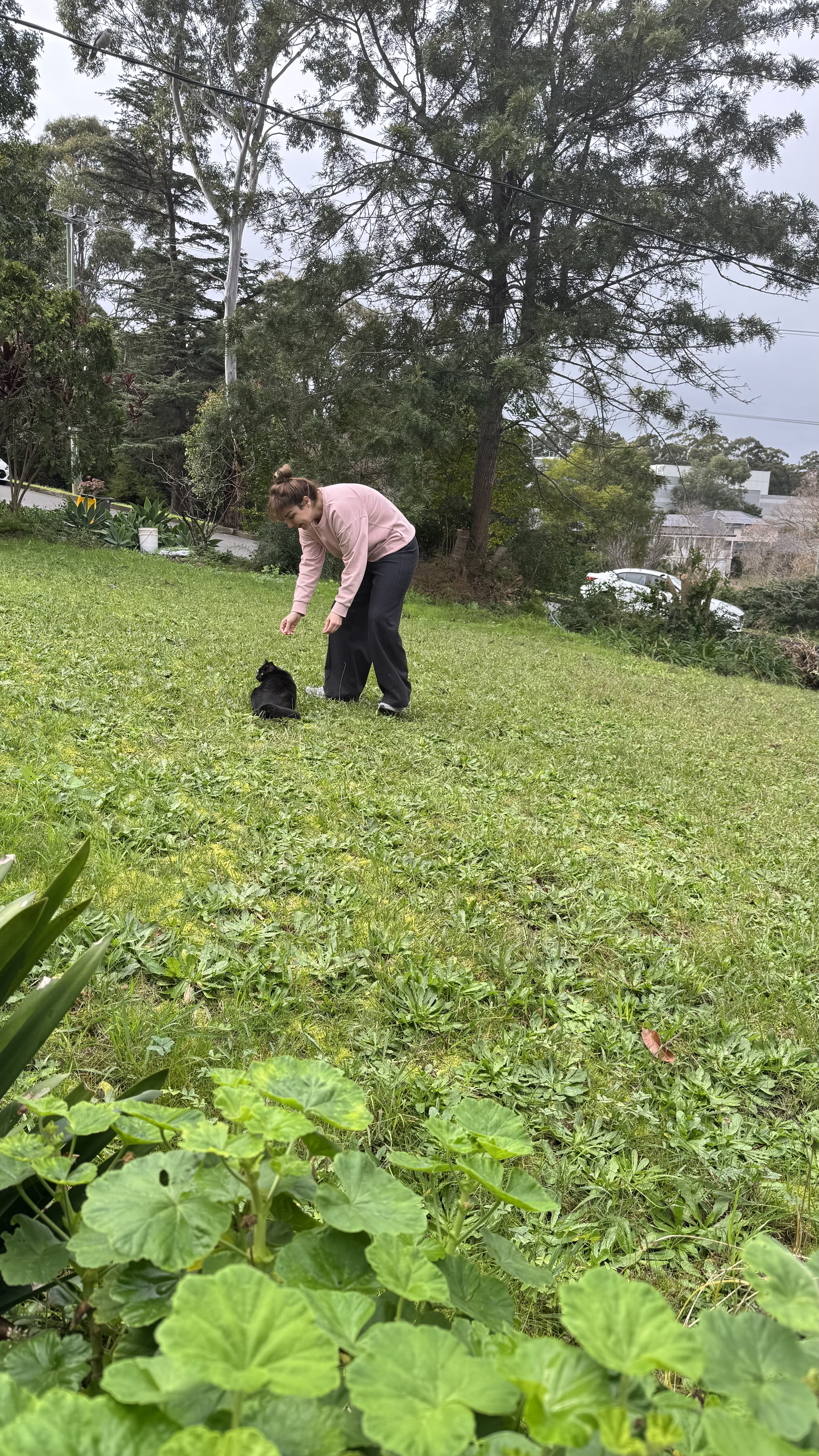 image-4