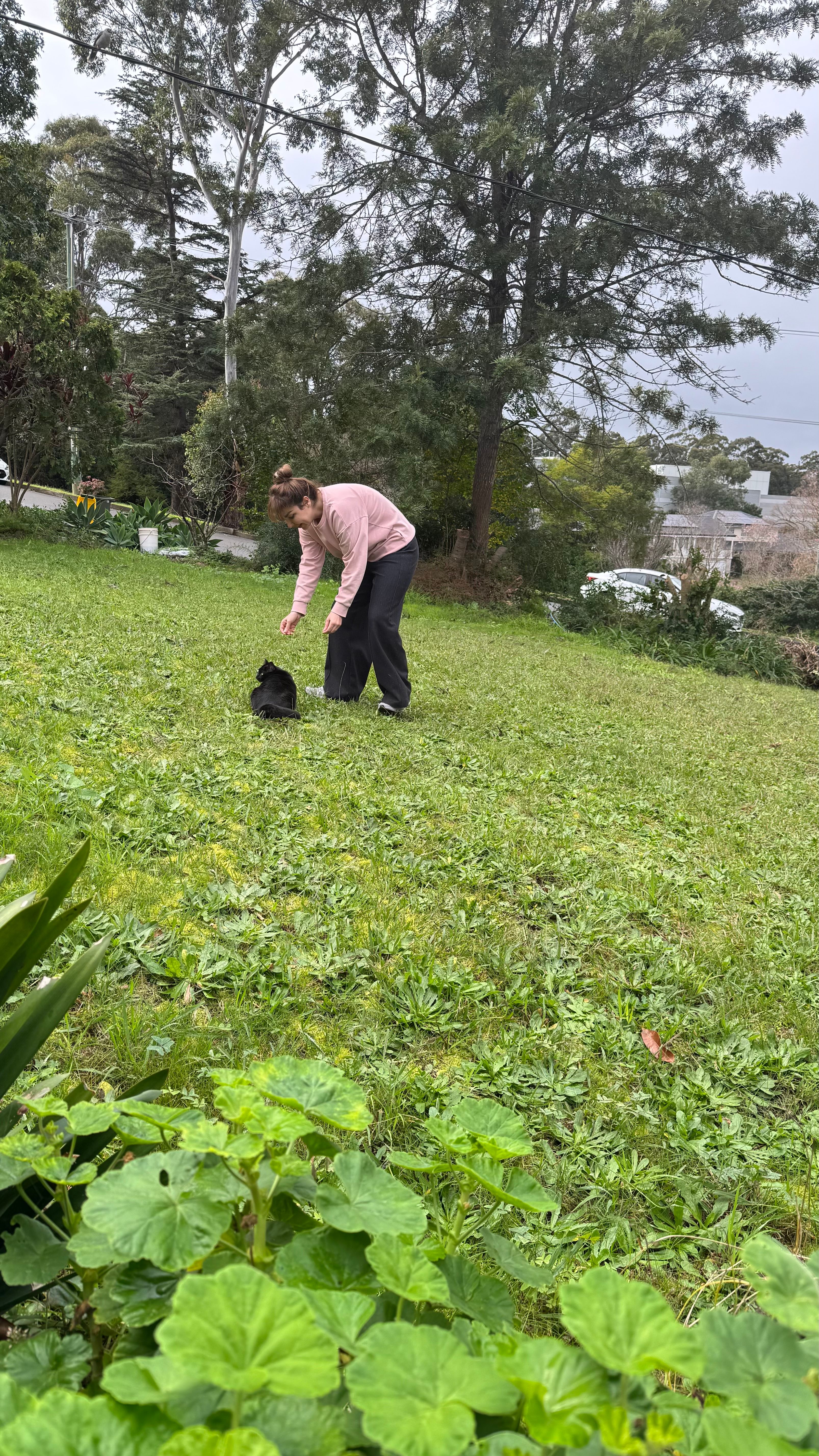image-4