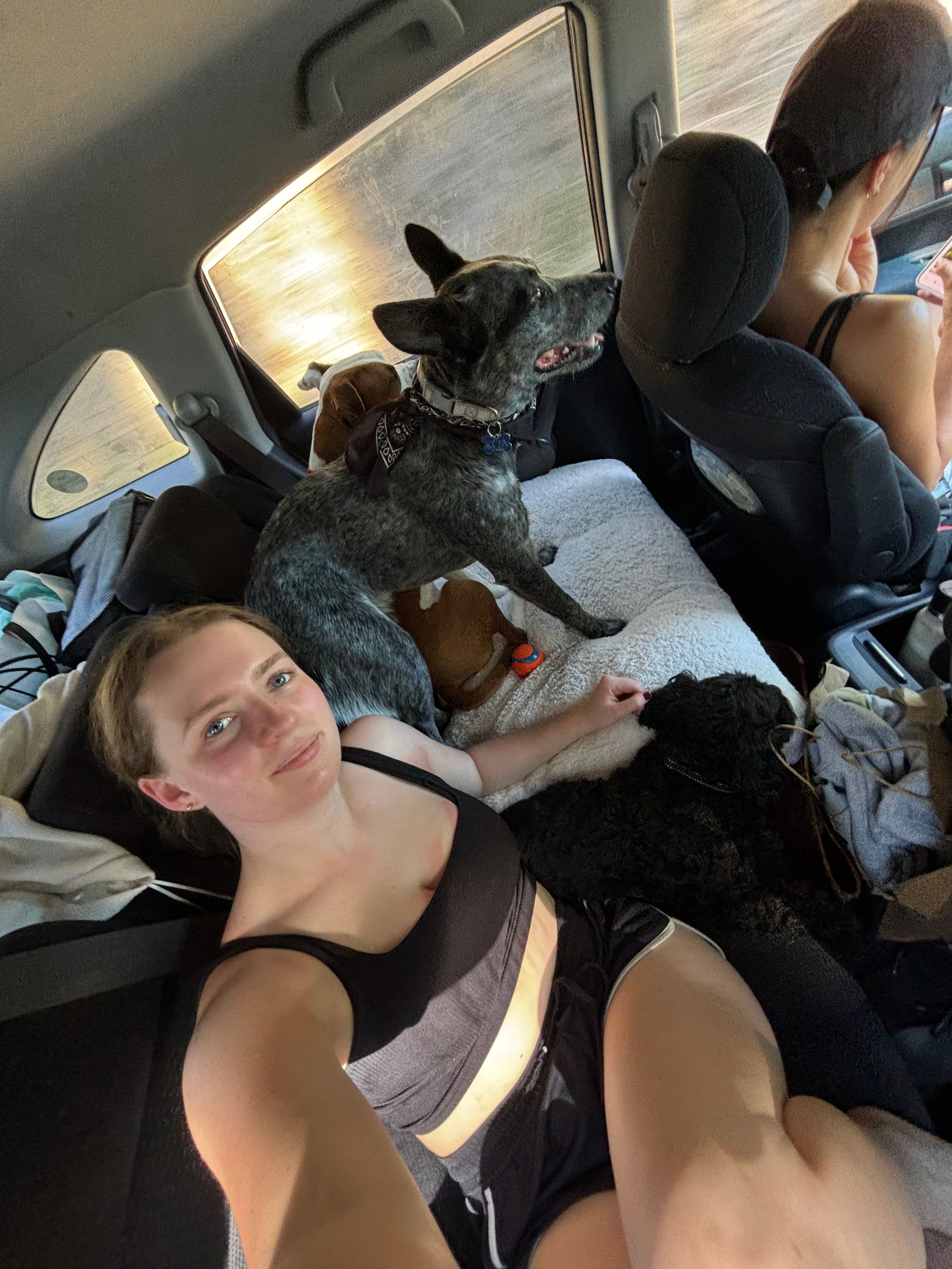image-6