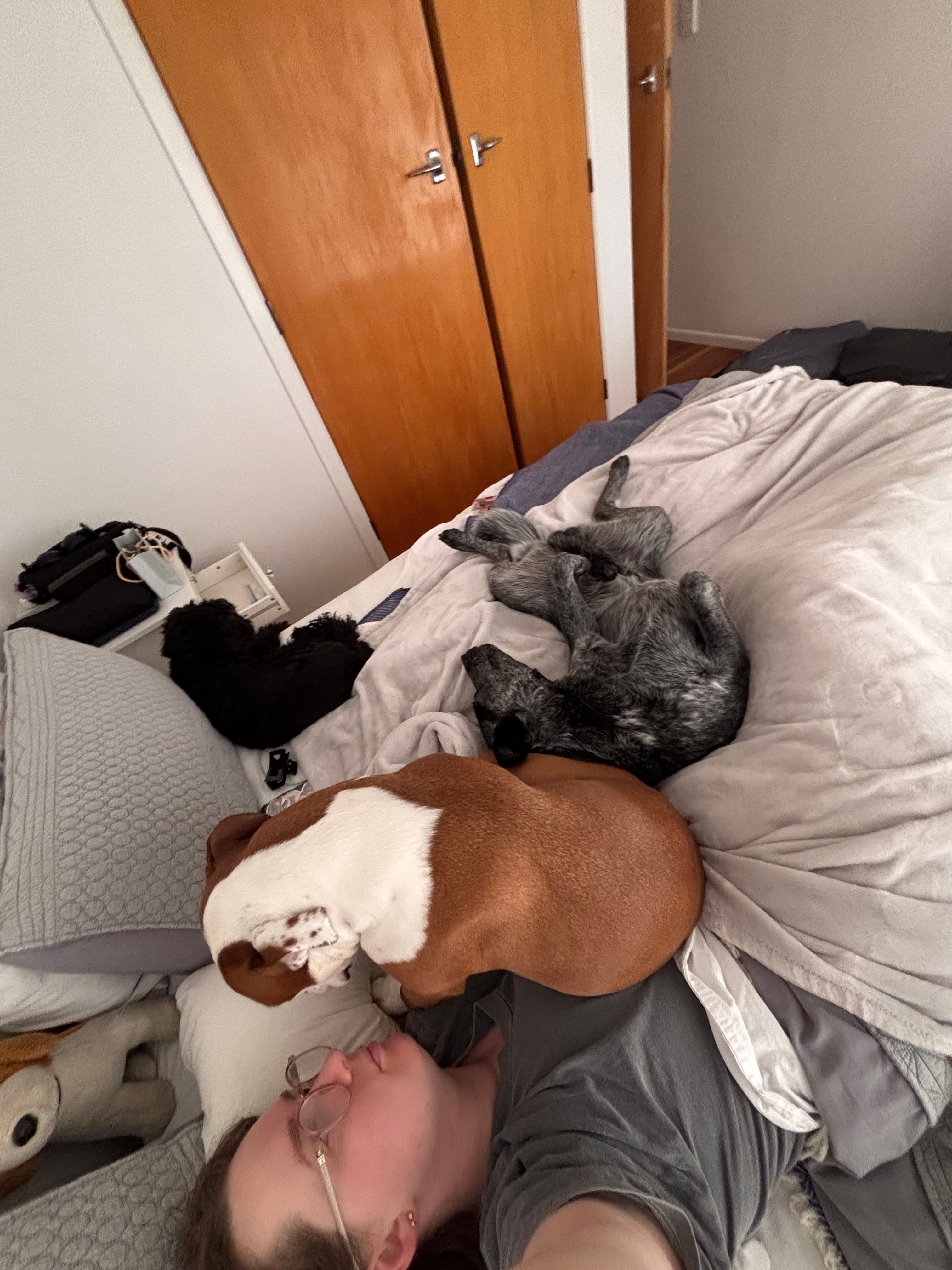 image-4
