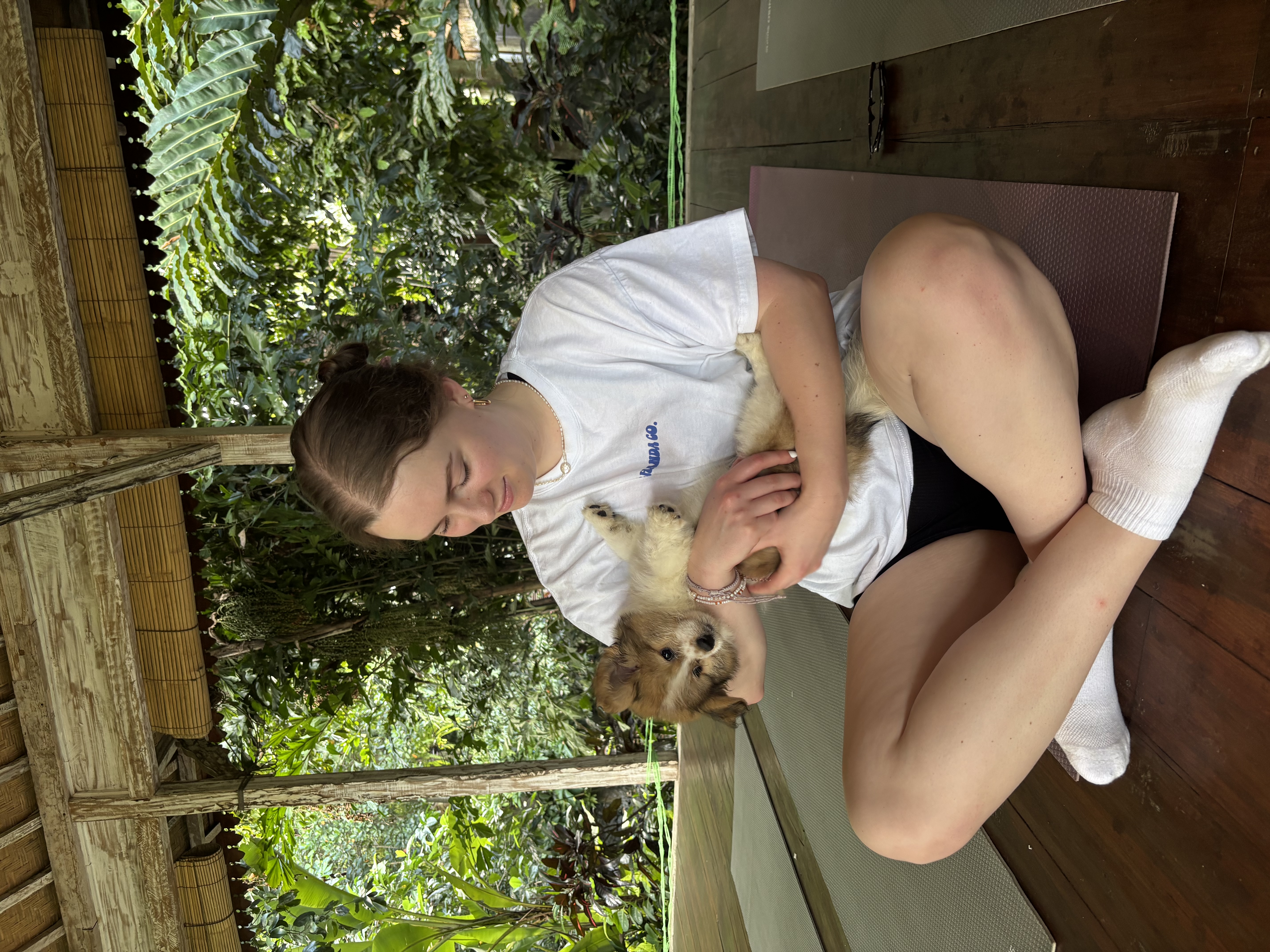 image-7