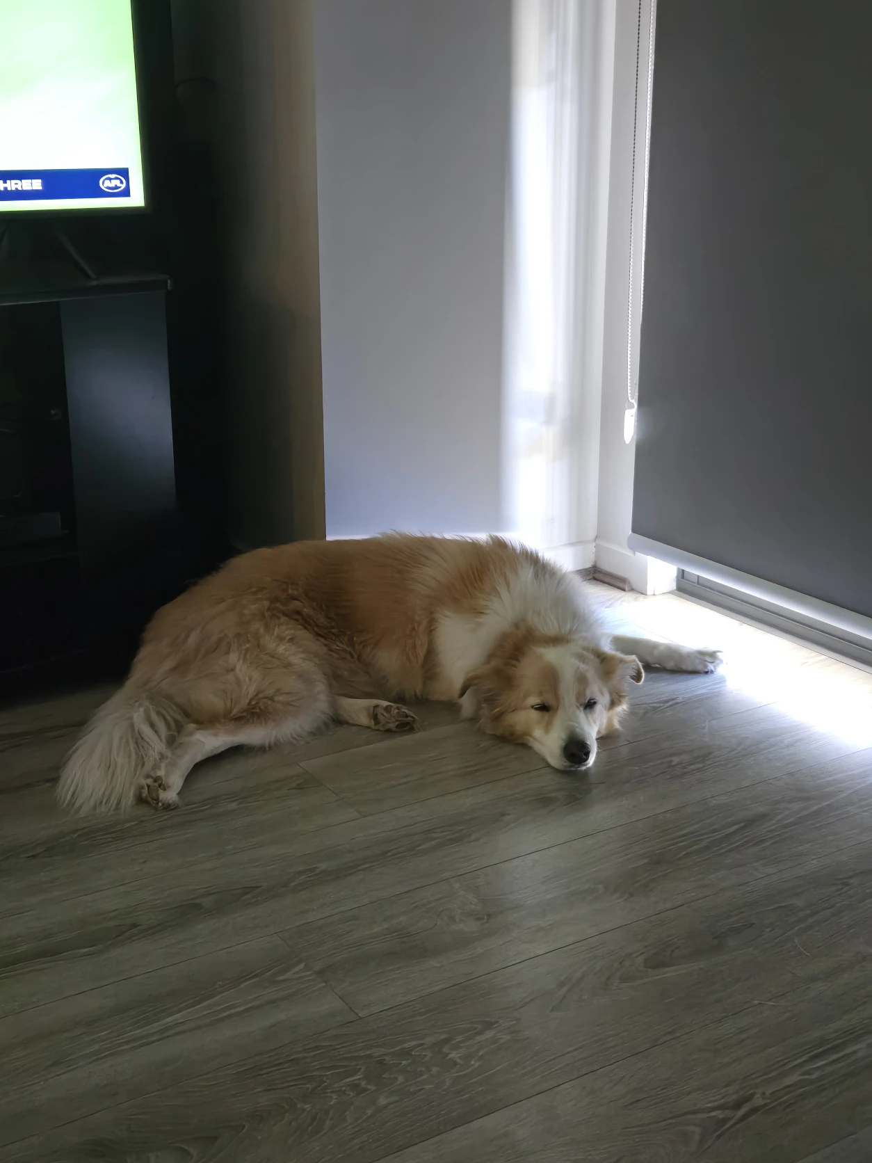 image-16