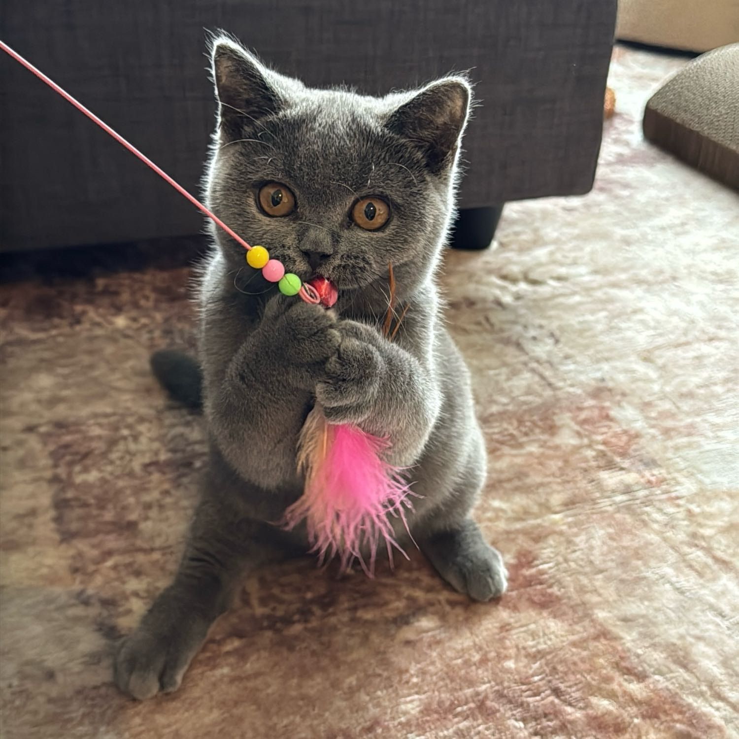 Luna