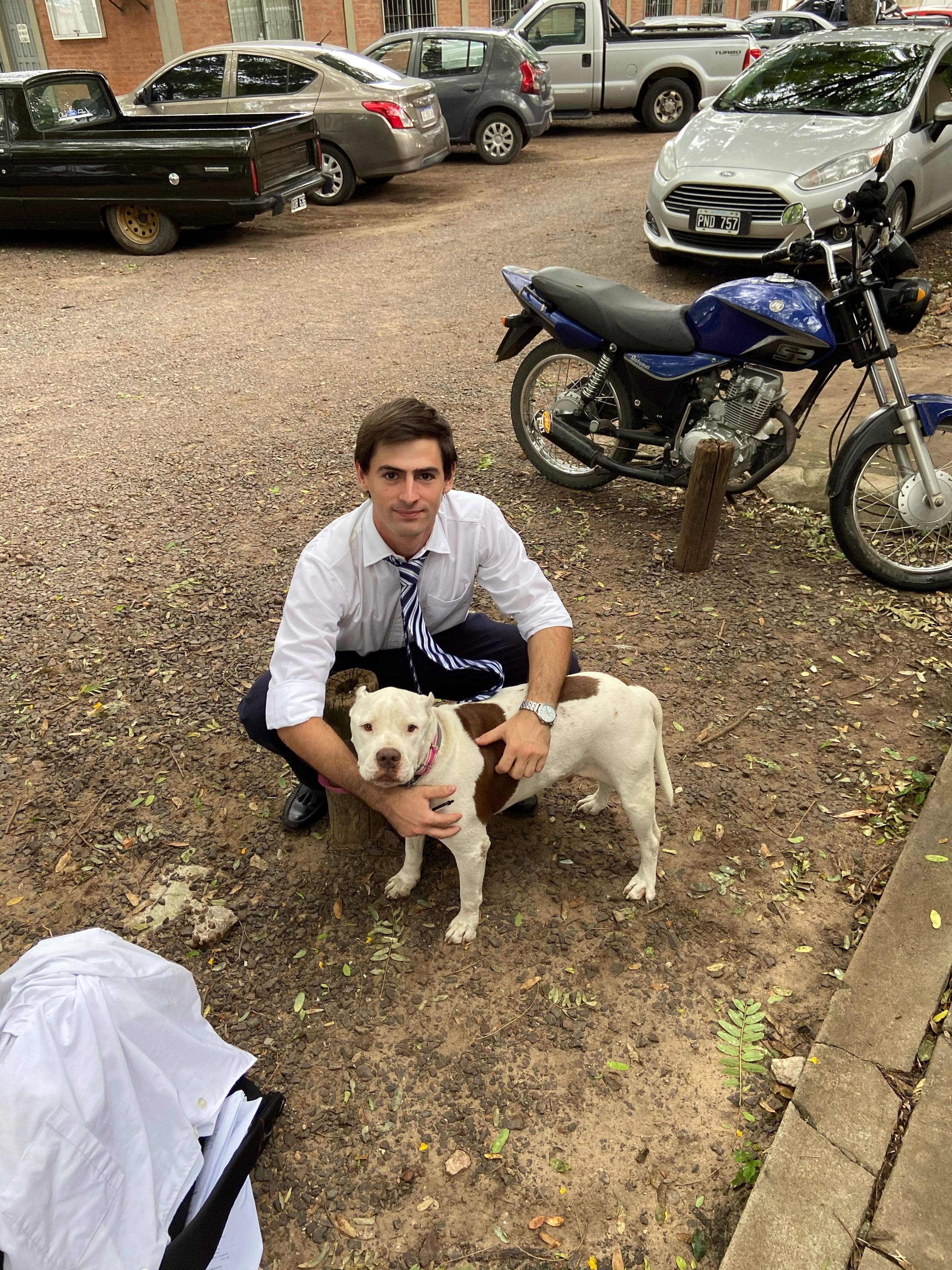 image-6