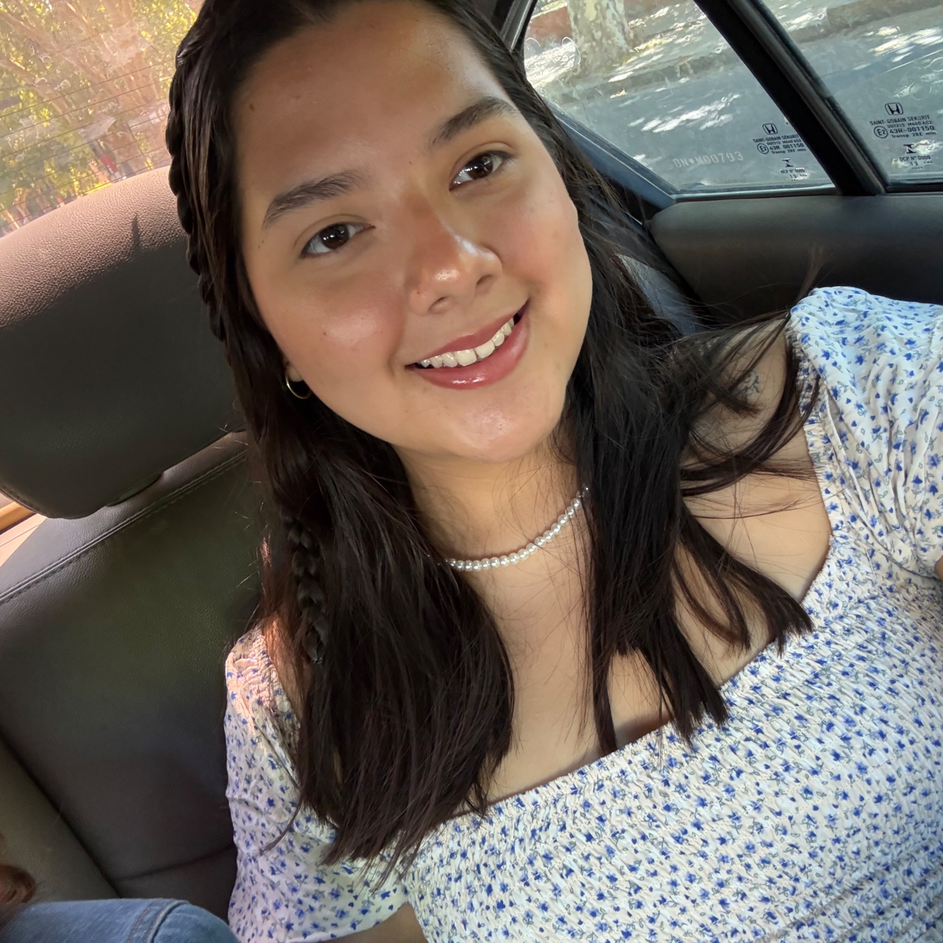 Amira